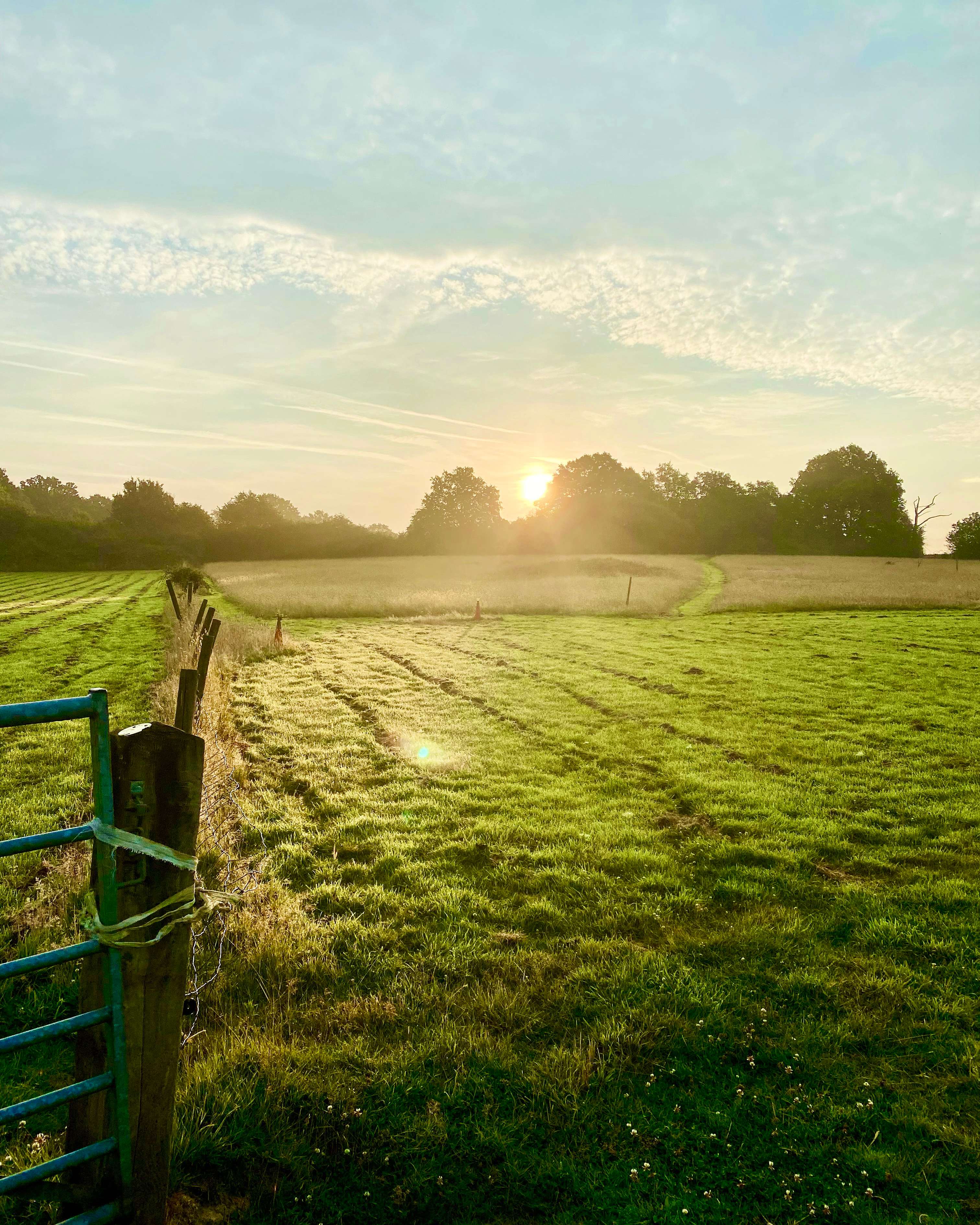 Far and Away camping field