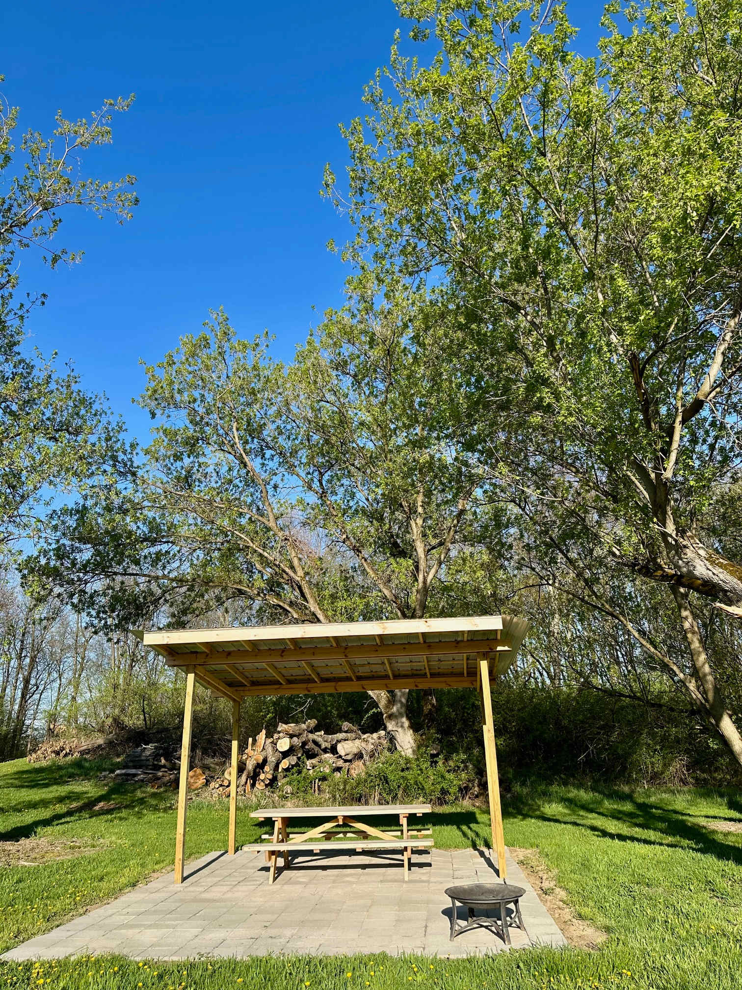 Picture of the site