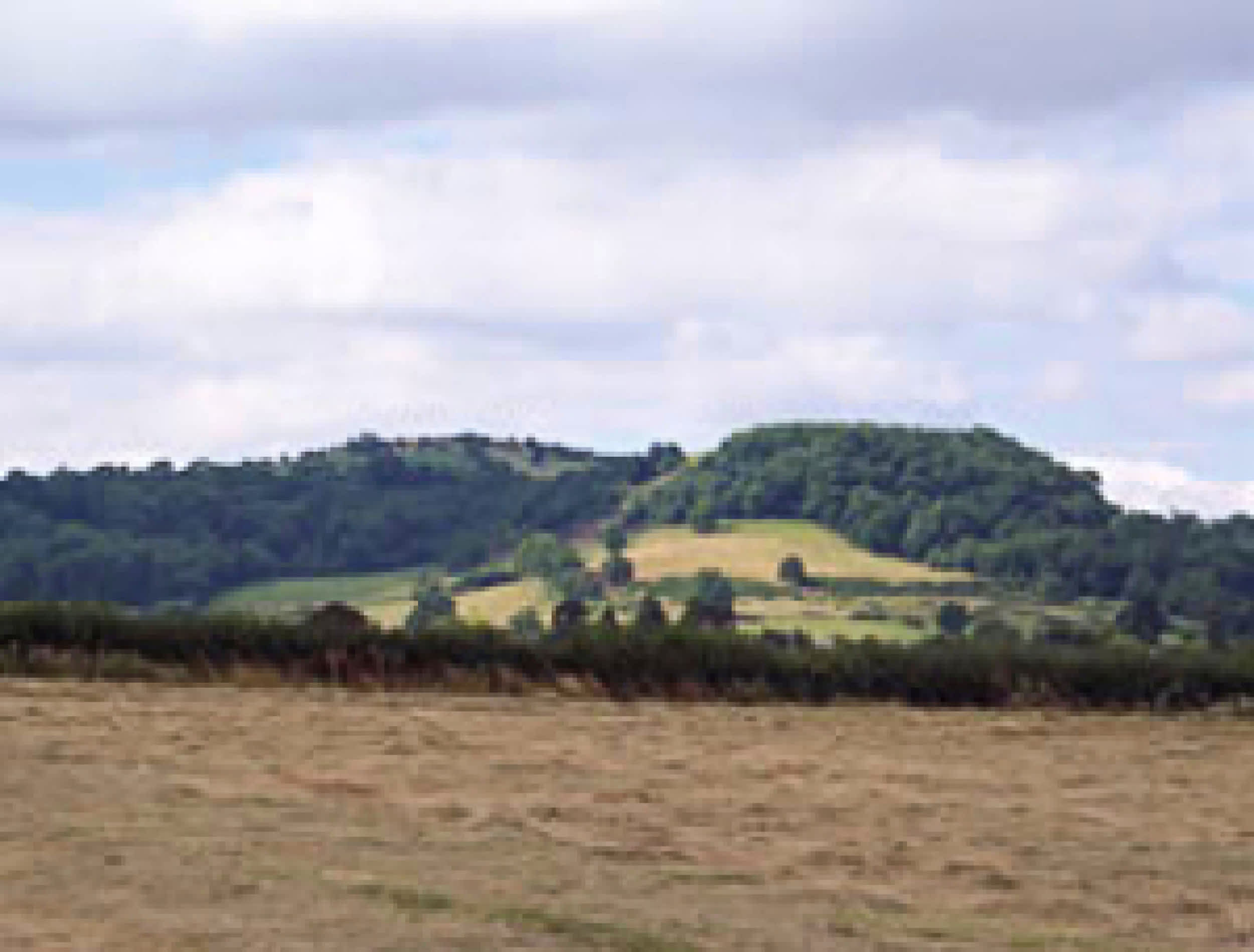 Hobnails View LittleWashbourne GL20