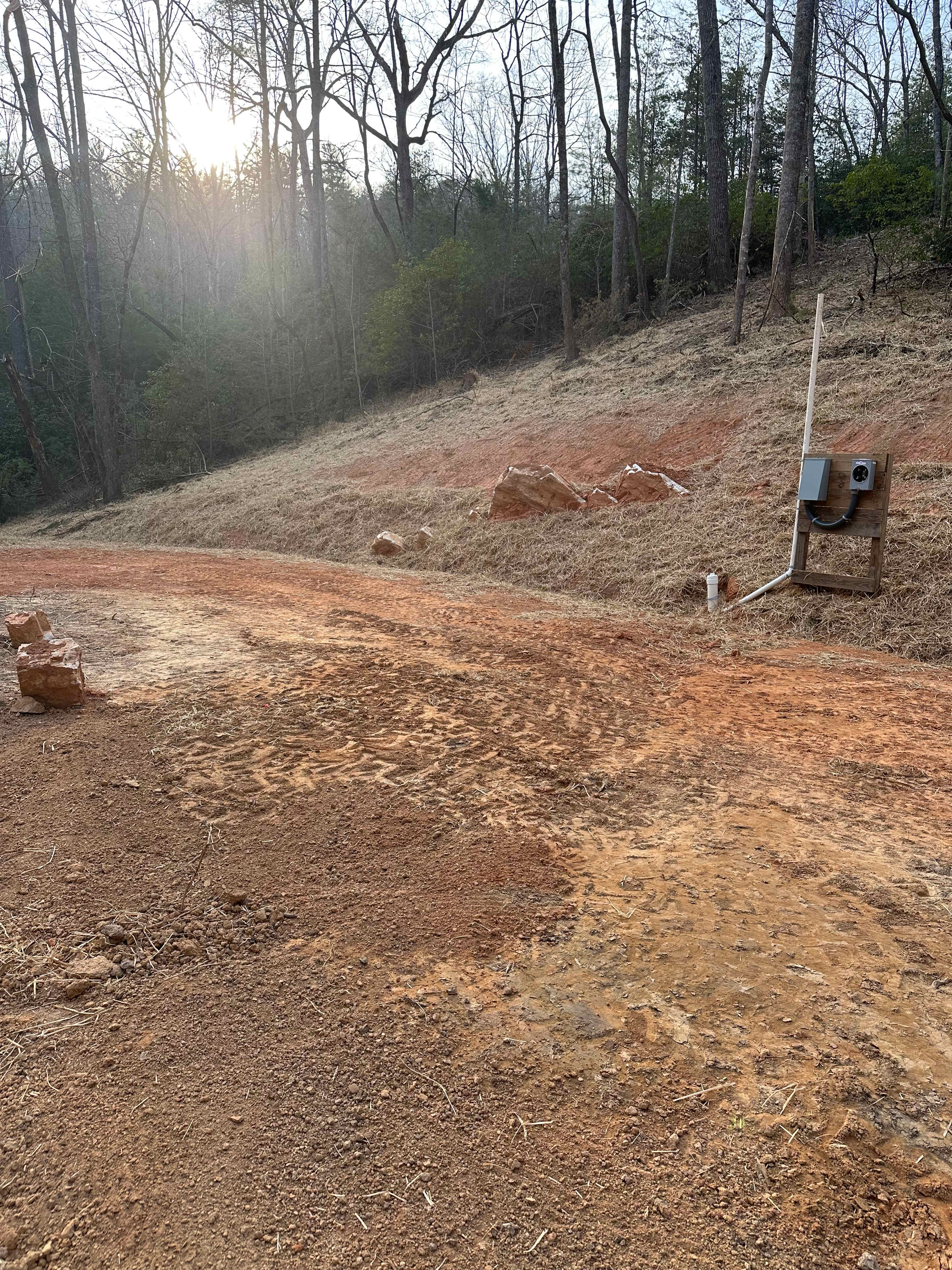 Deer Trails at Stone Mountain