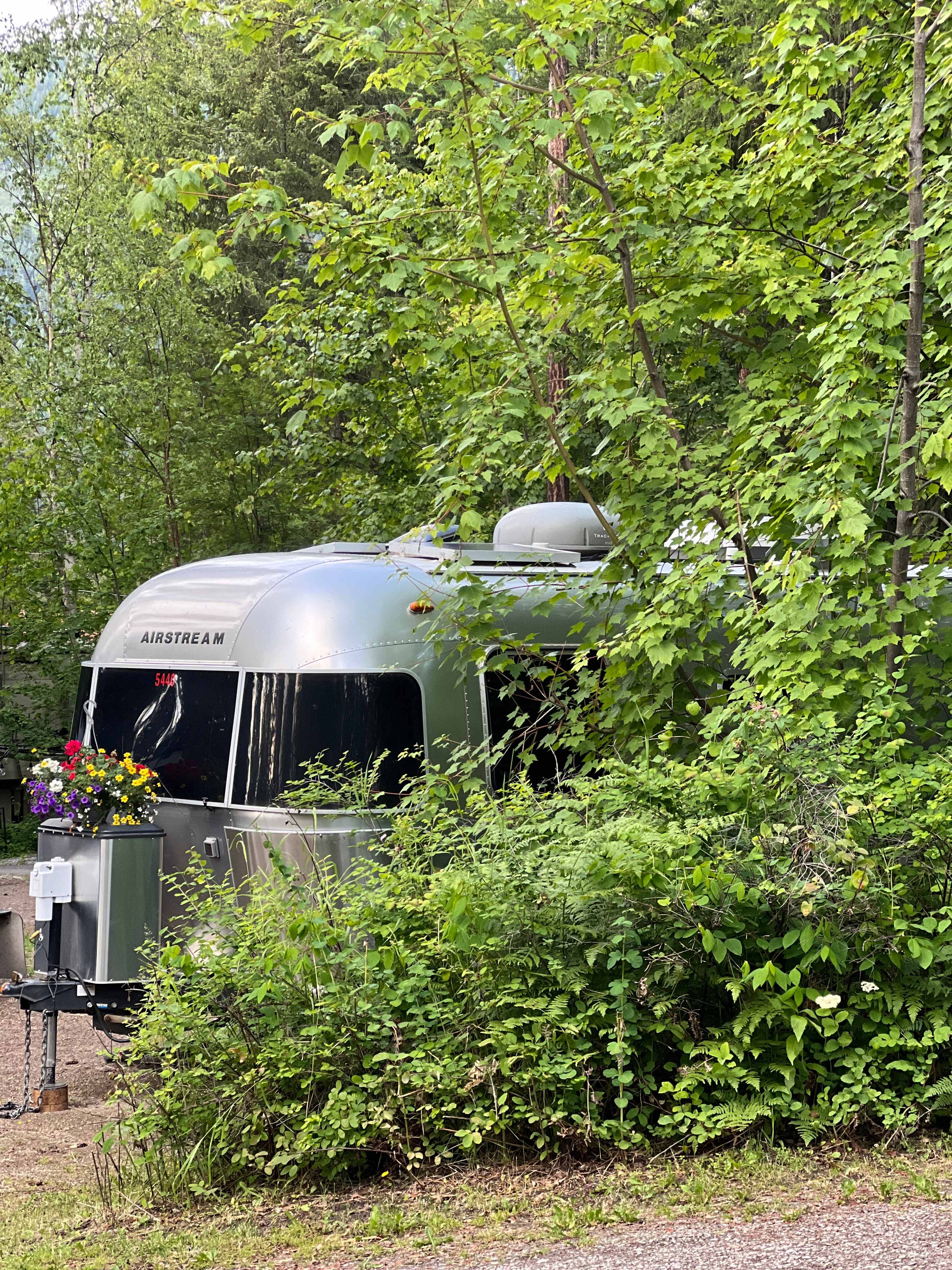 Salmon Arm Camping Resort