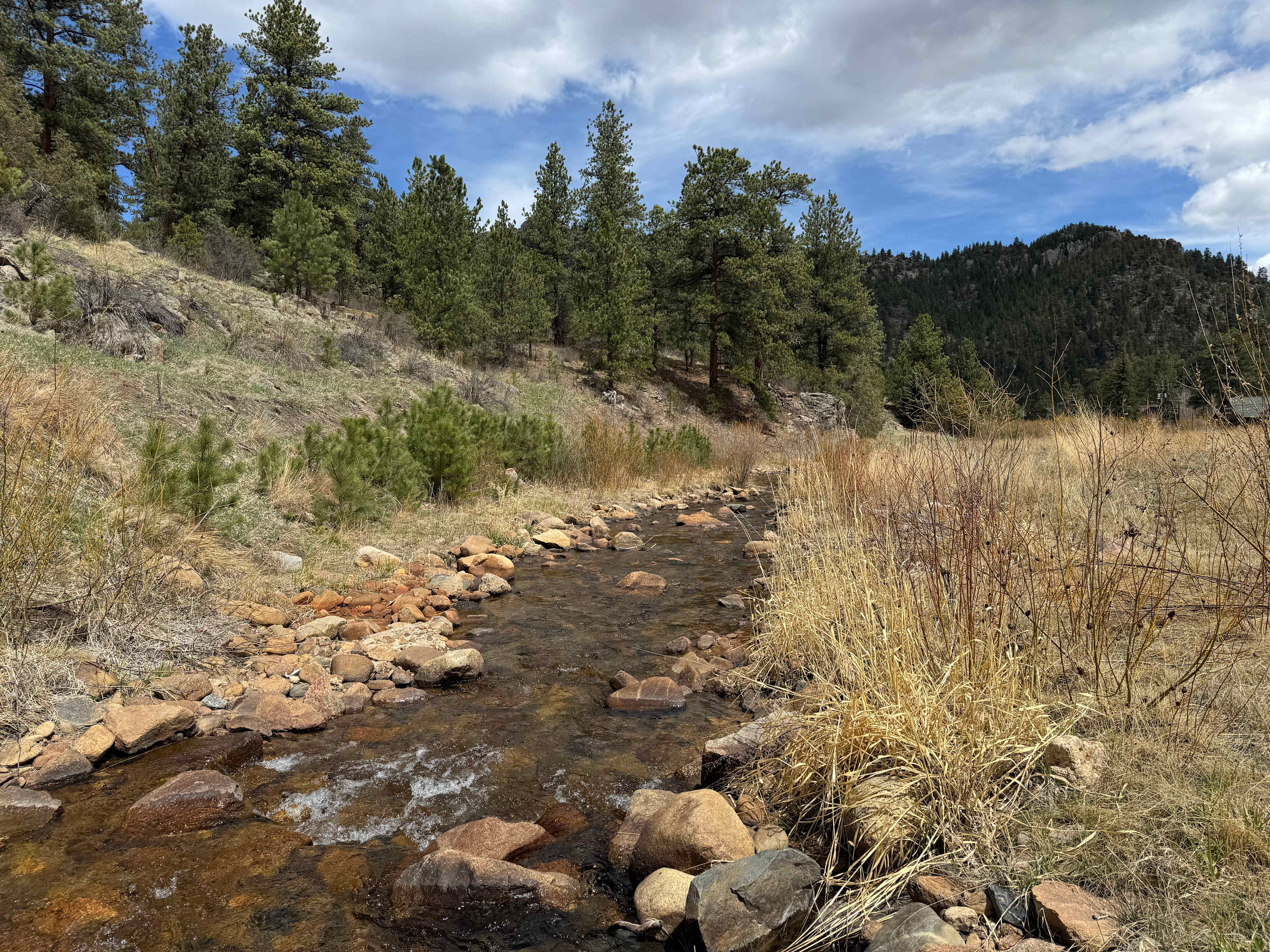 River campsite near Estes Park