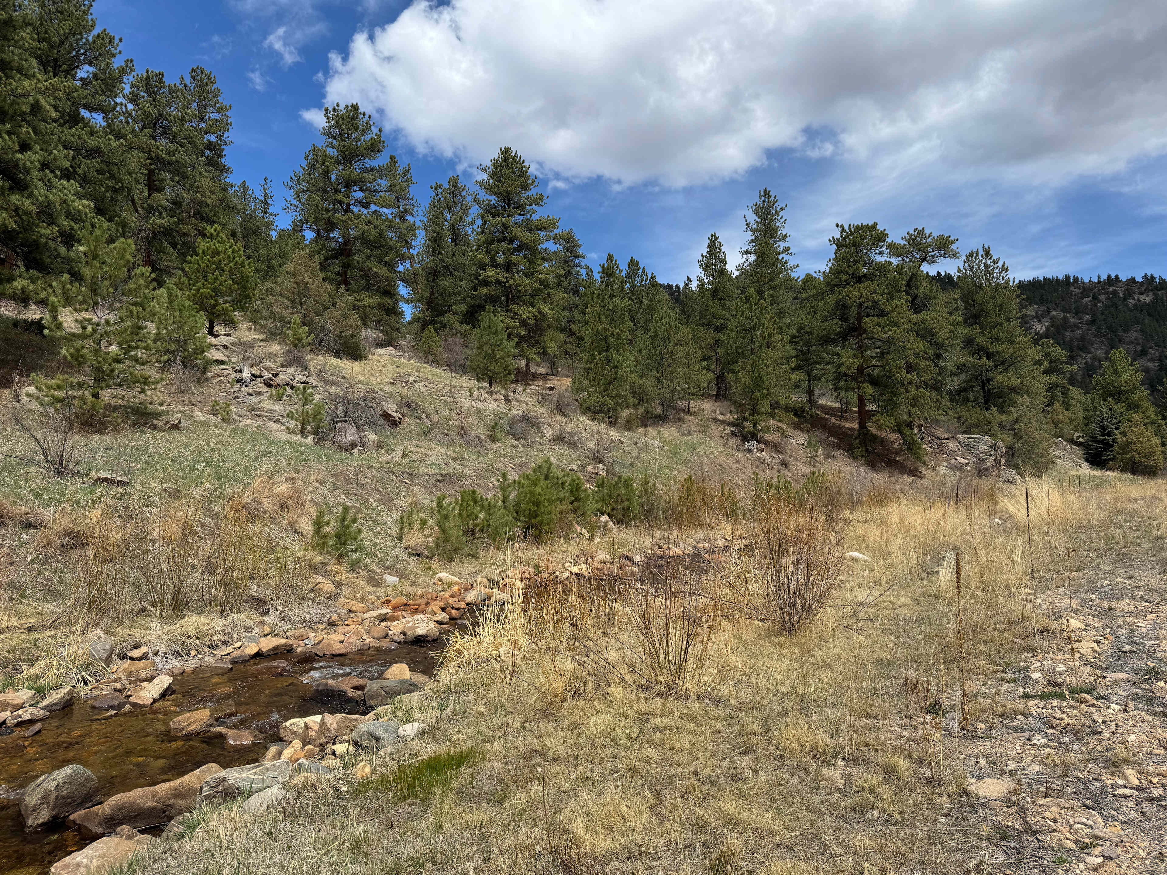 River campsite near Estes Park