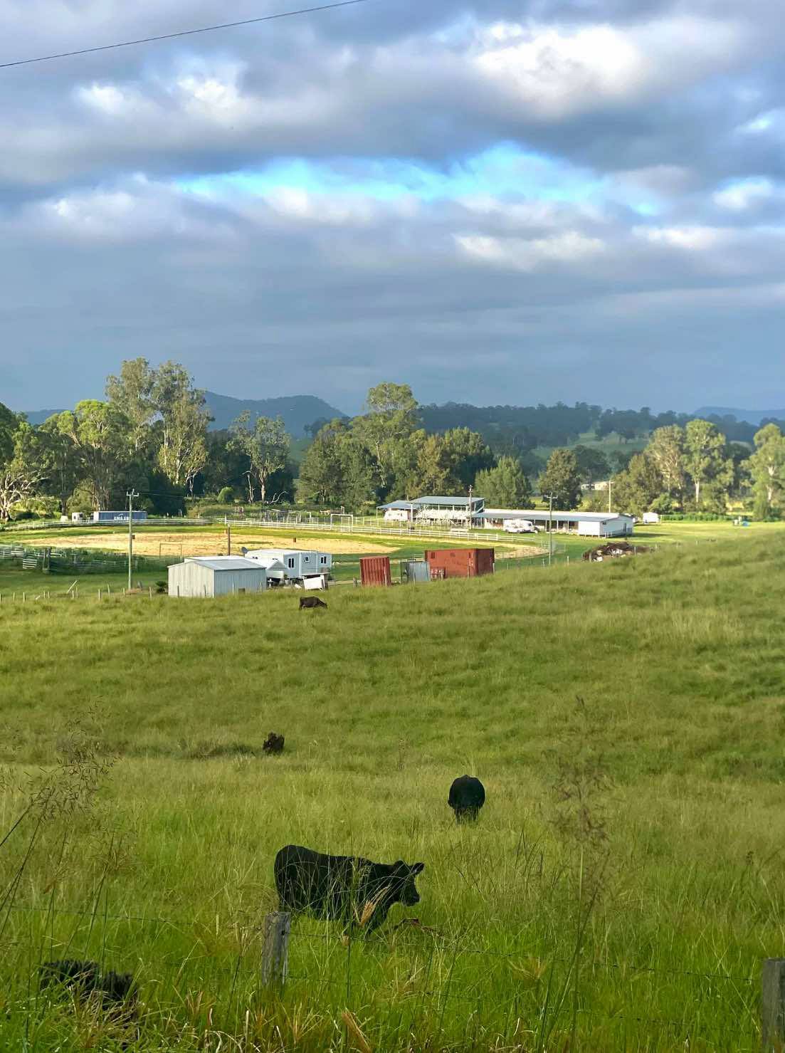 Woodenbong Showground