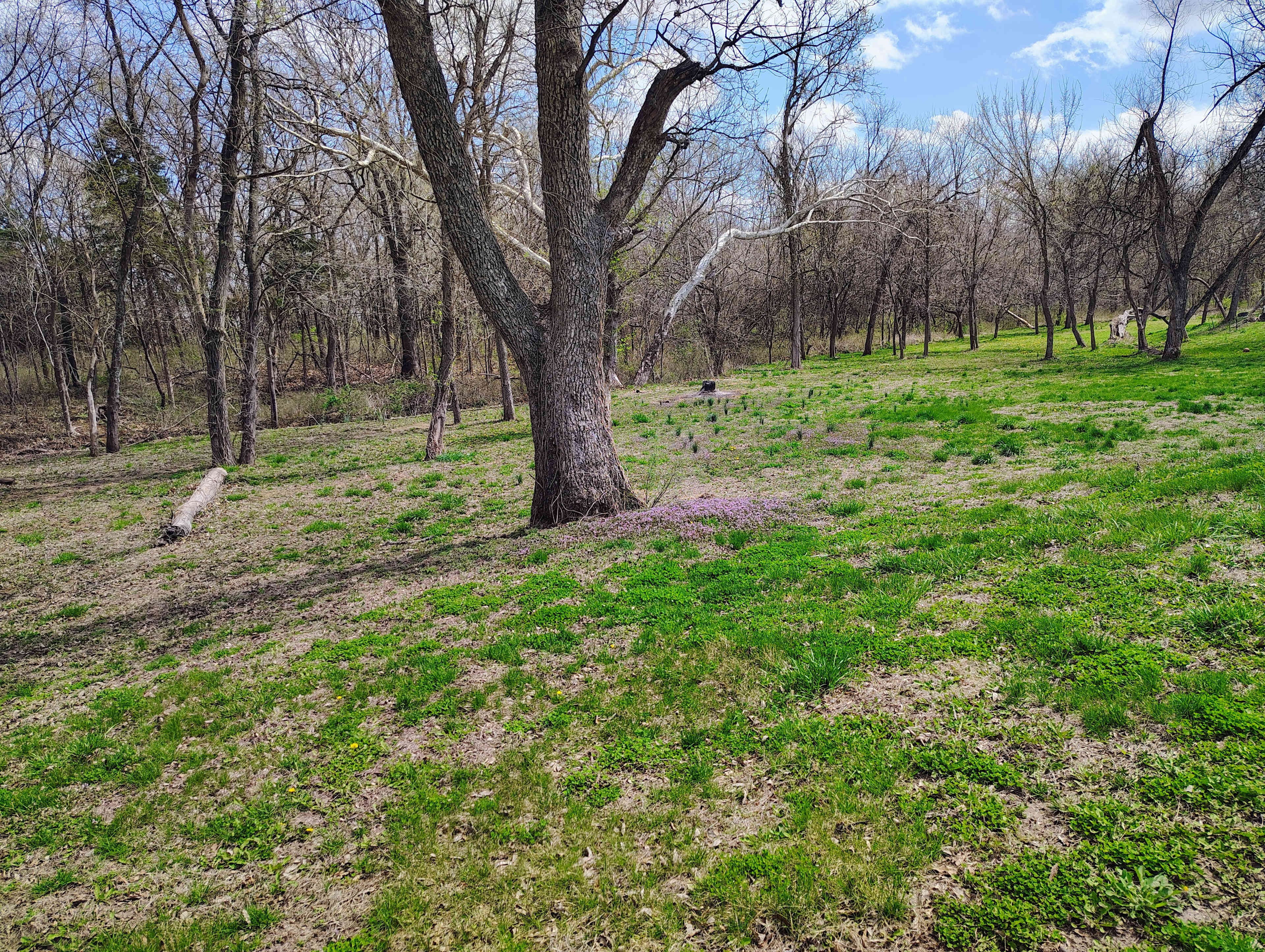 Seeds And Spaces