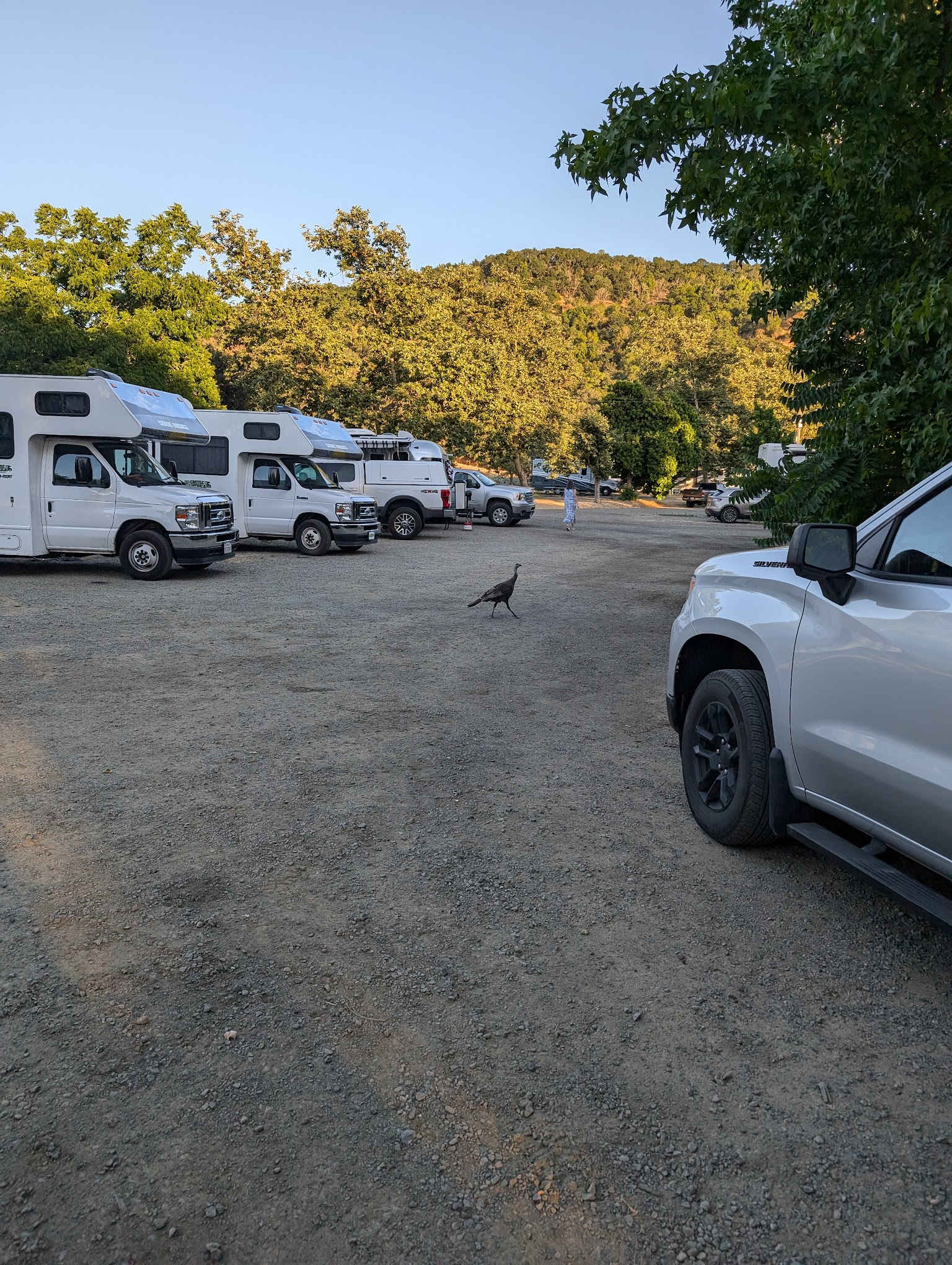 Rv 12 NO TENTS ALLOWED