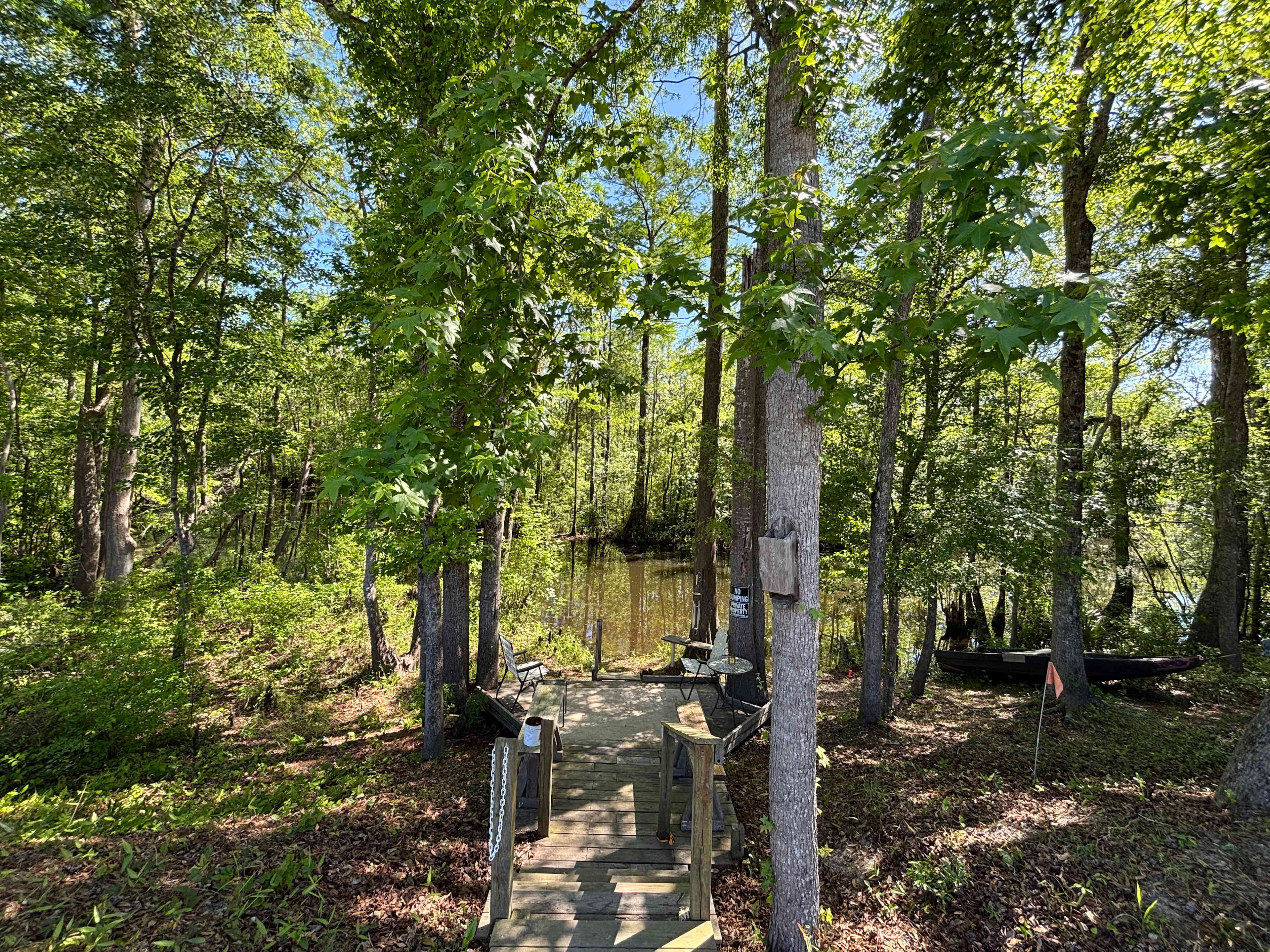 Picture of the site