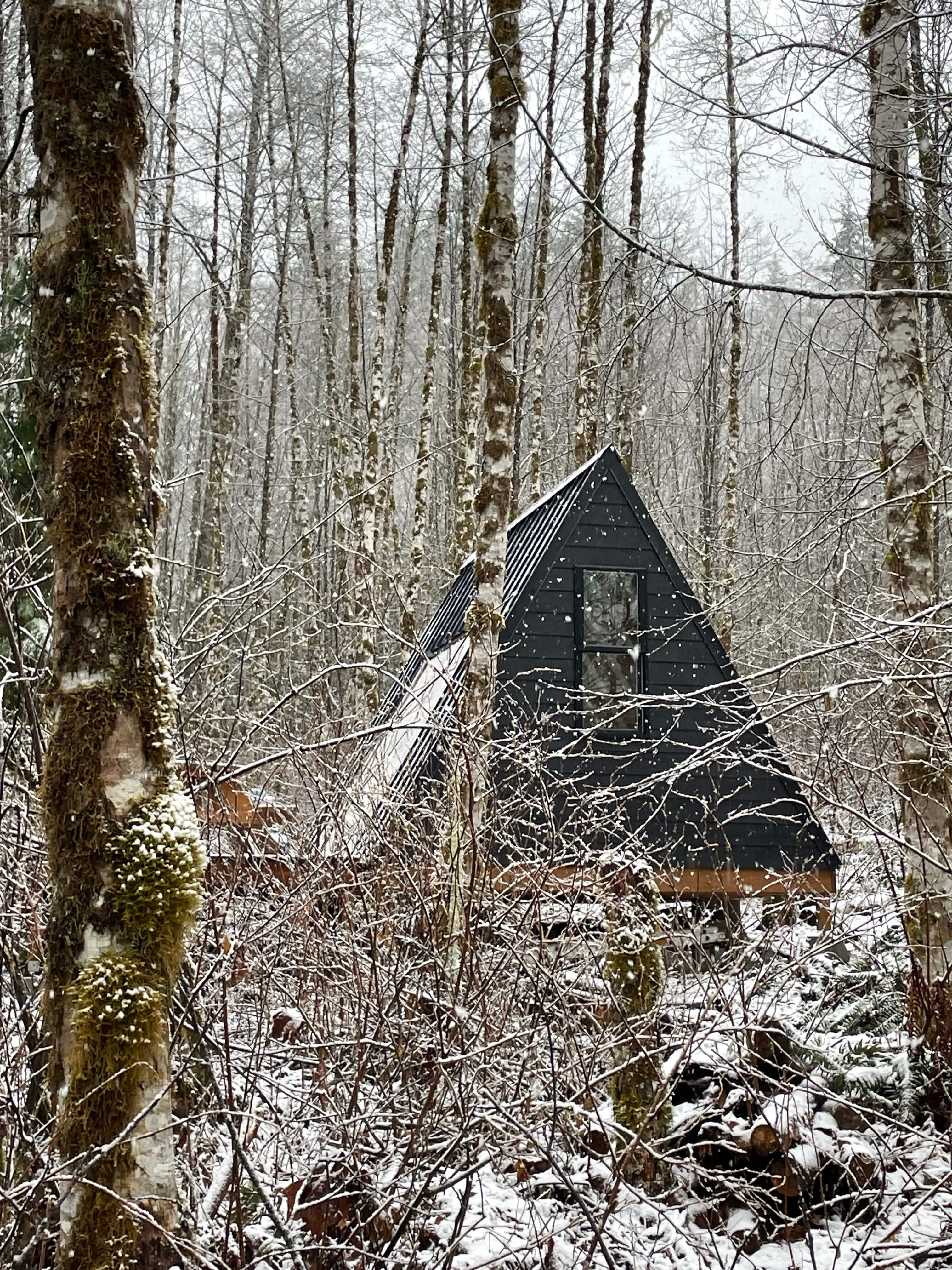 Tiny A-Frame on Cascade River