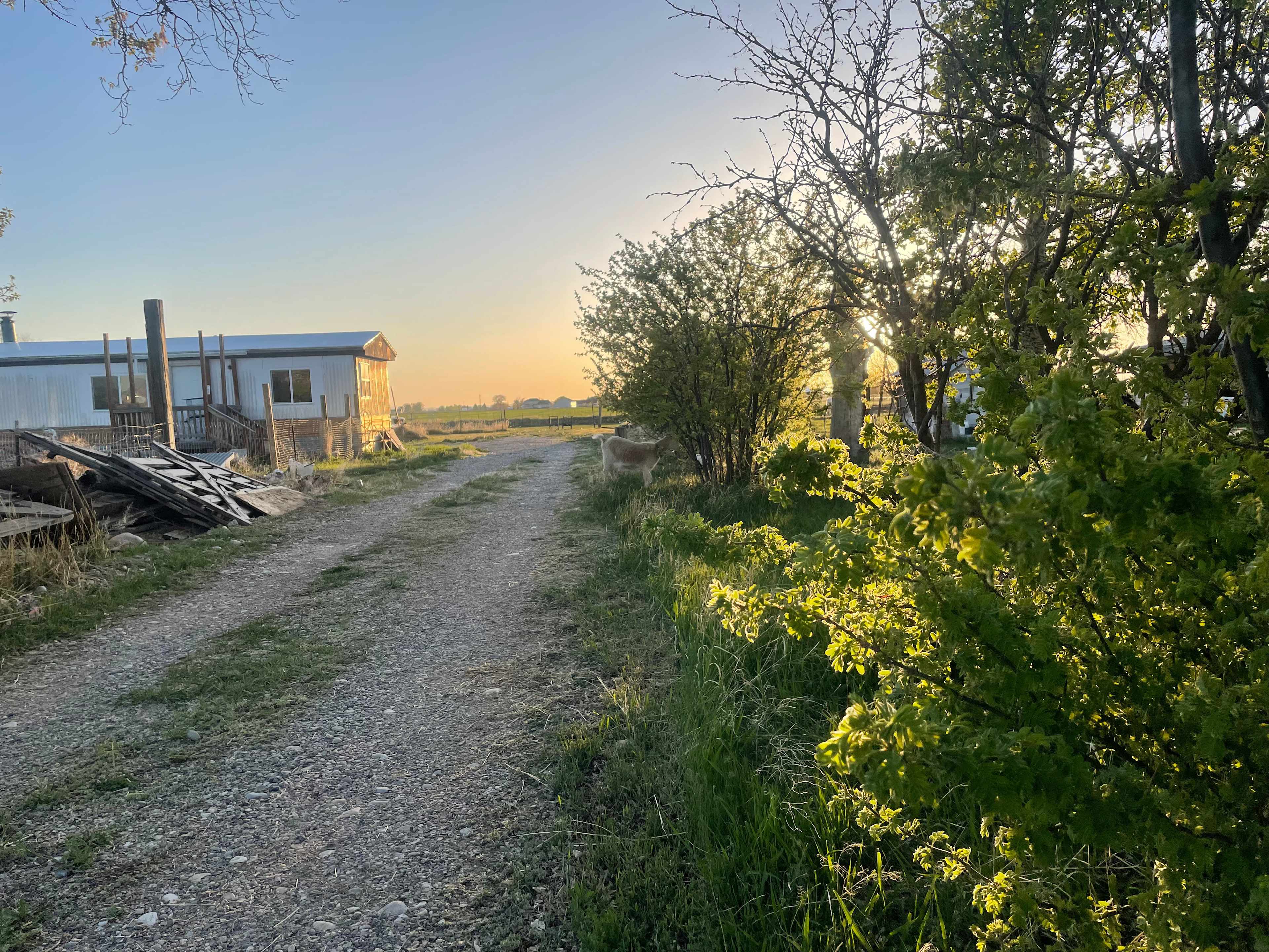 Picture of the site