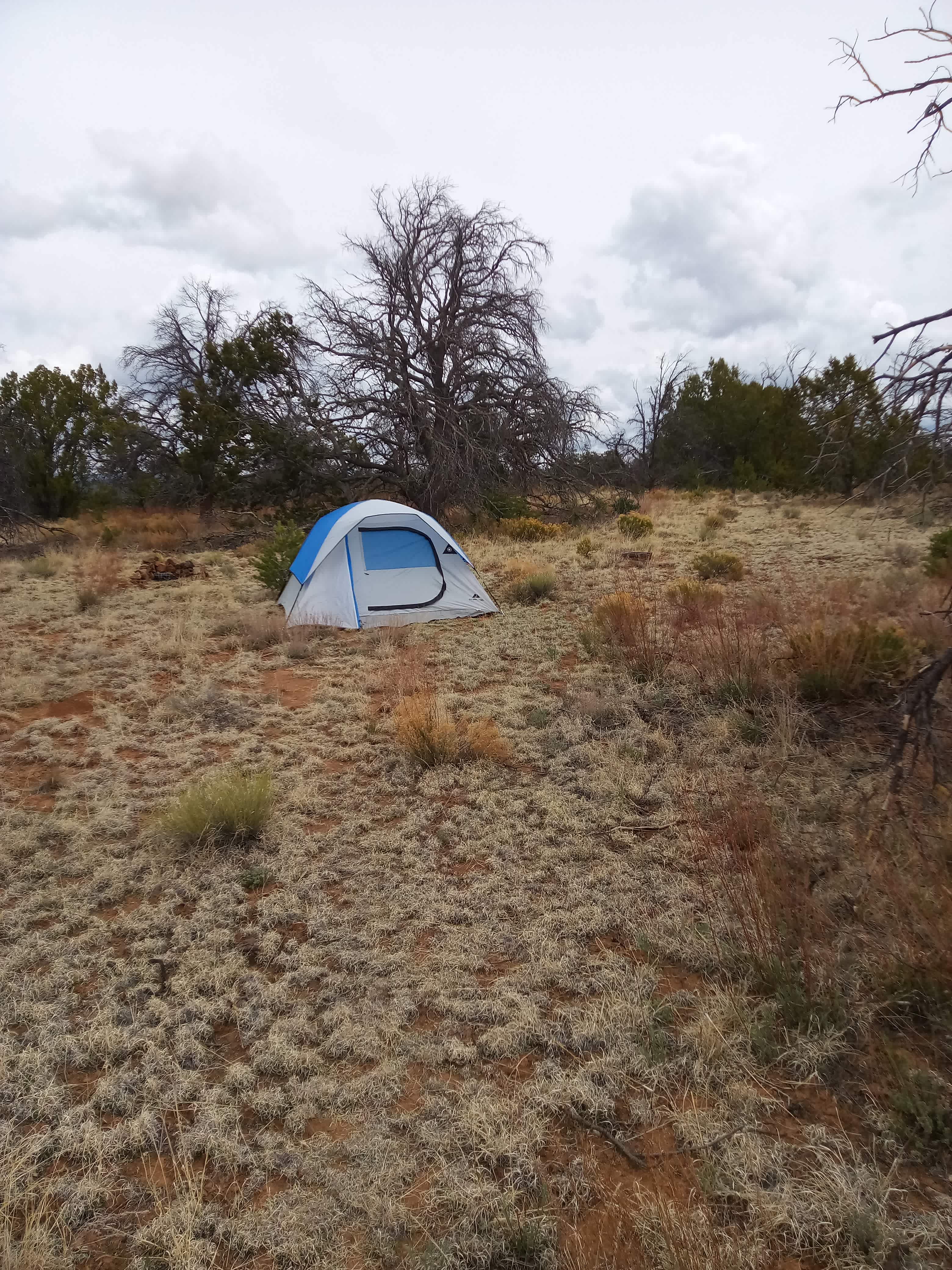 Camp Binary (See The Stars)