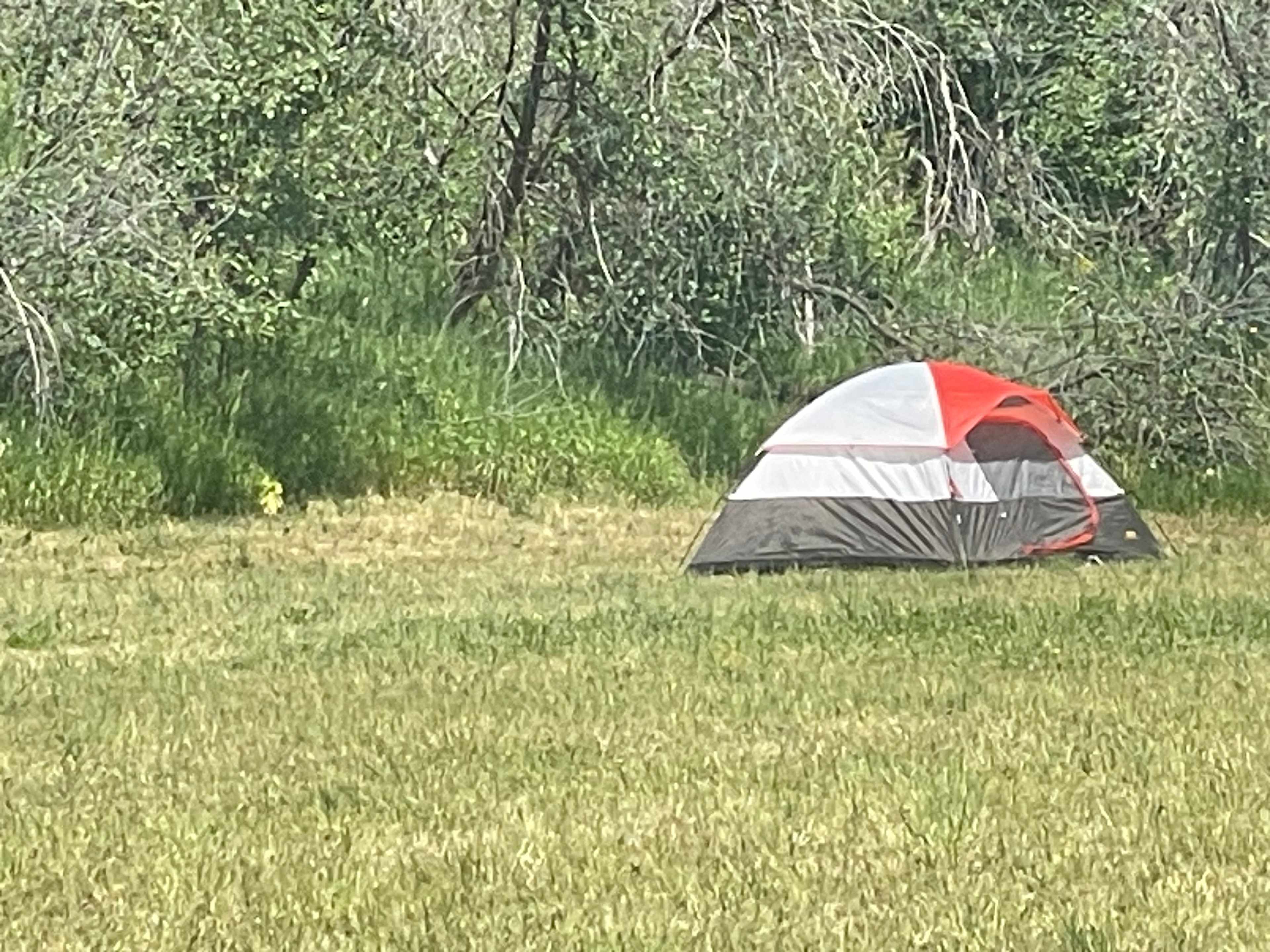 Star Gaze campground