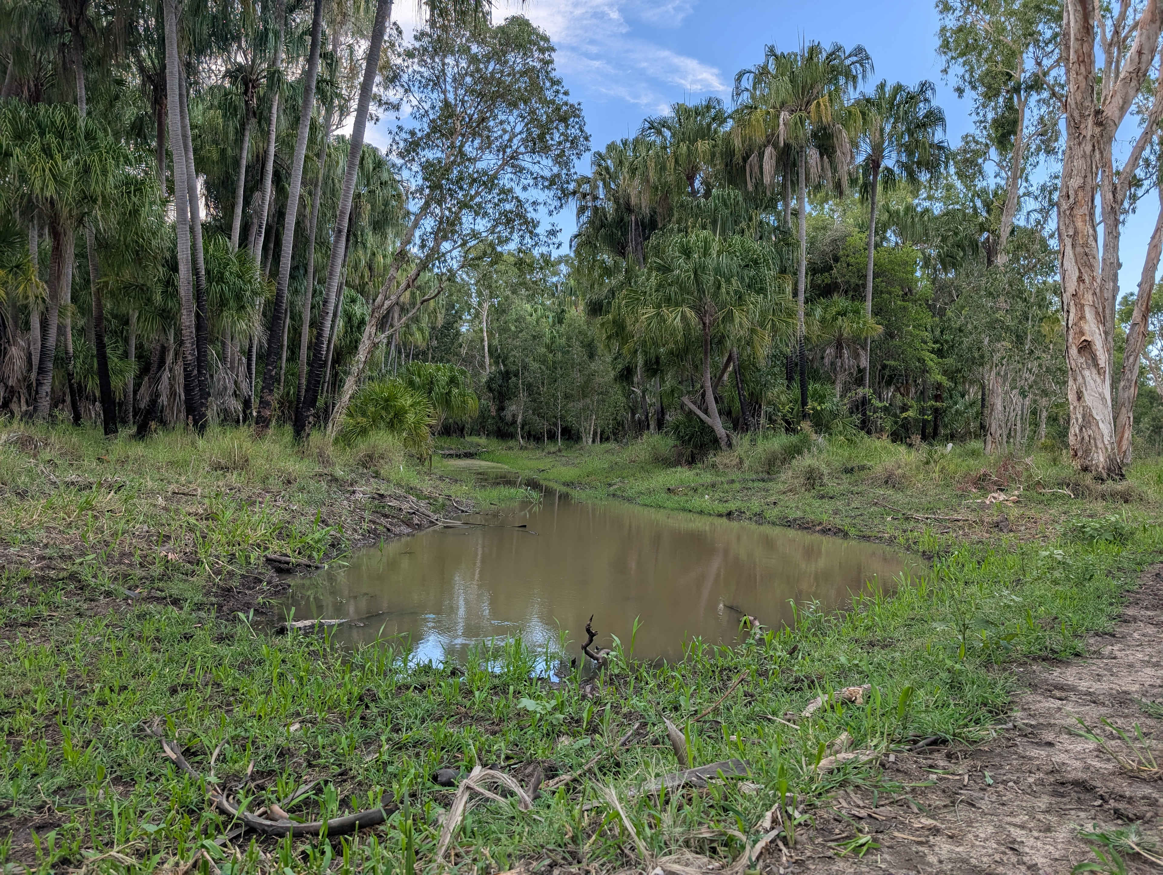Jorassic Park ( Clothing optional )