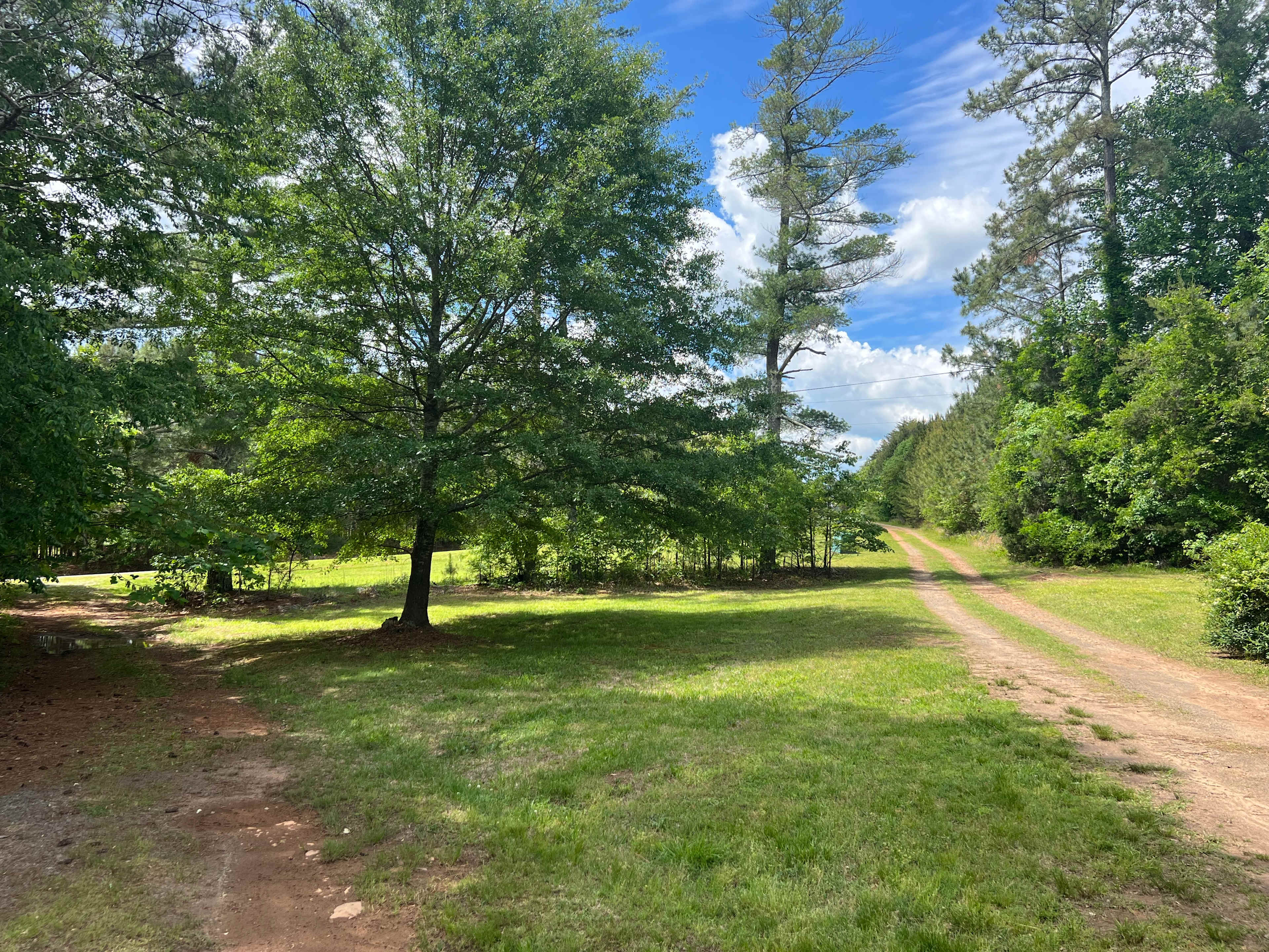 Two driveways, a short and longer one