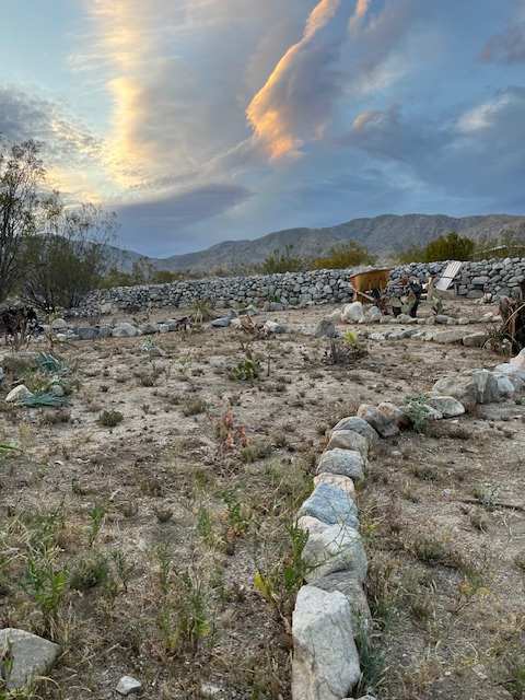 Desert Rock Gardens