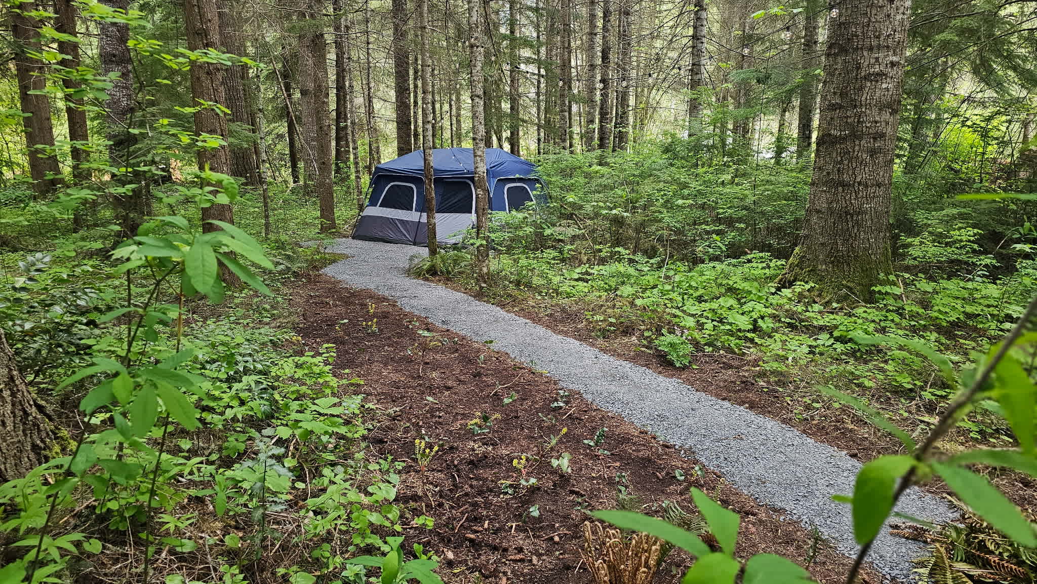Rainier Pinecone Luxe