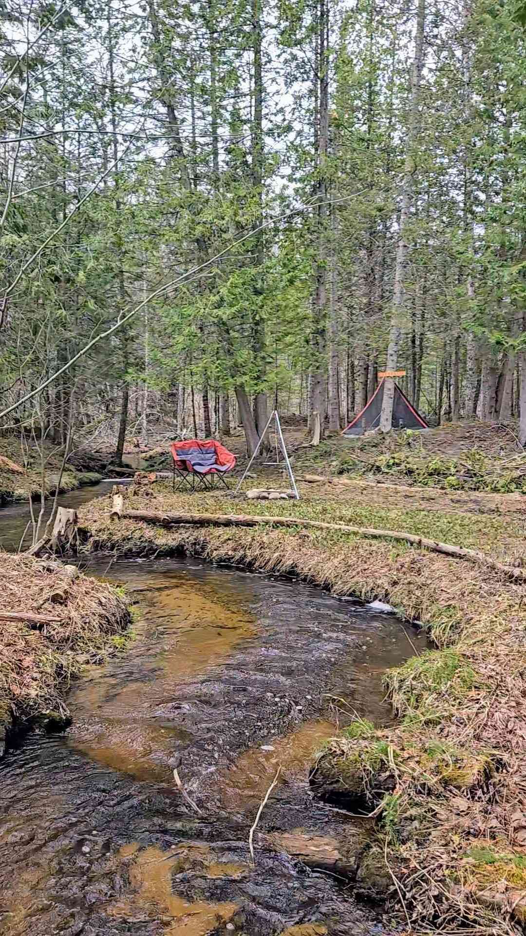 Rooster Ridge Campground