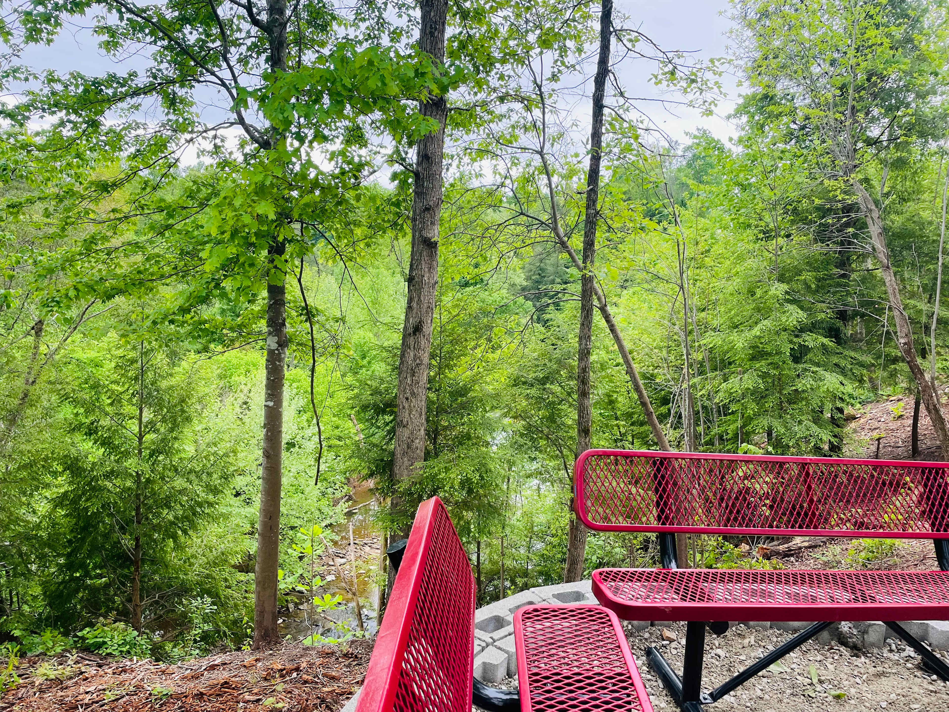 Picture of the site