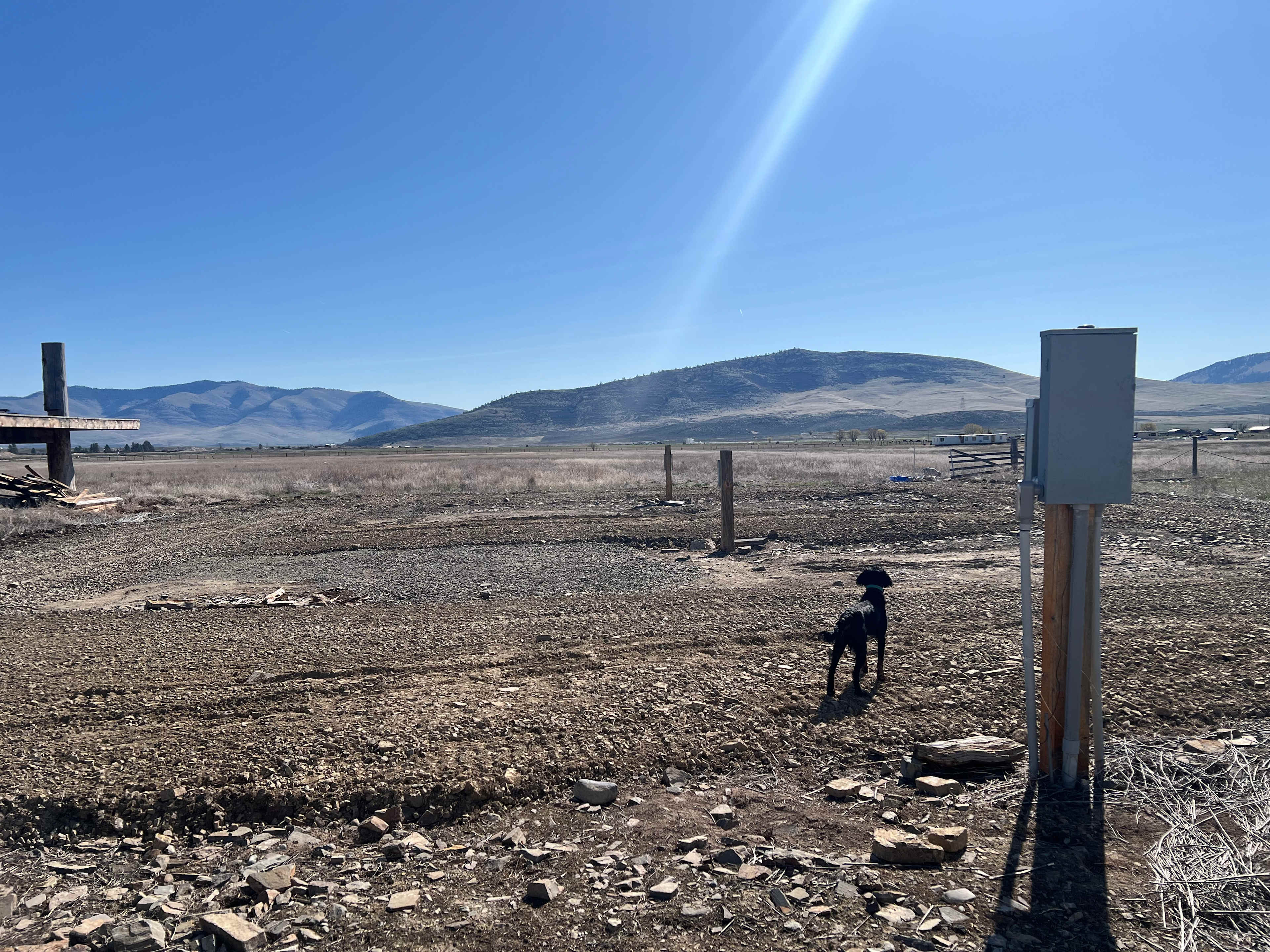 Picture of the site