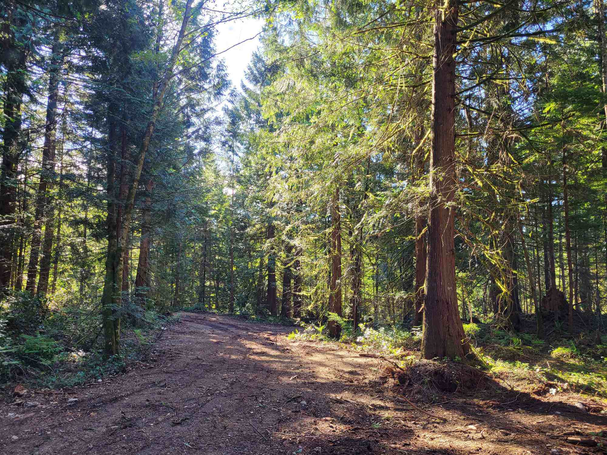 Gibsons Creek RV Resort&Campground