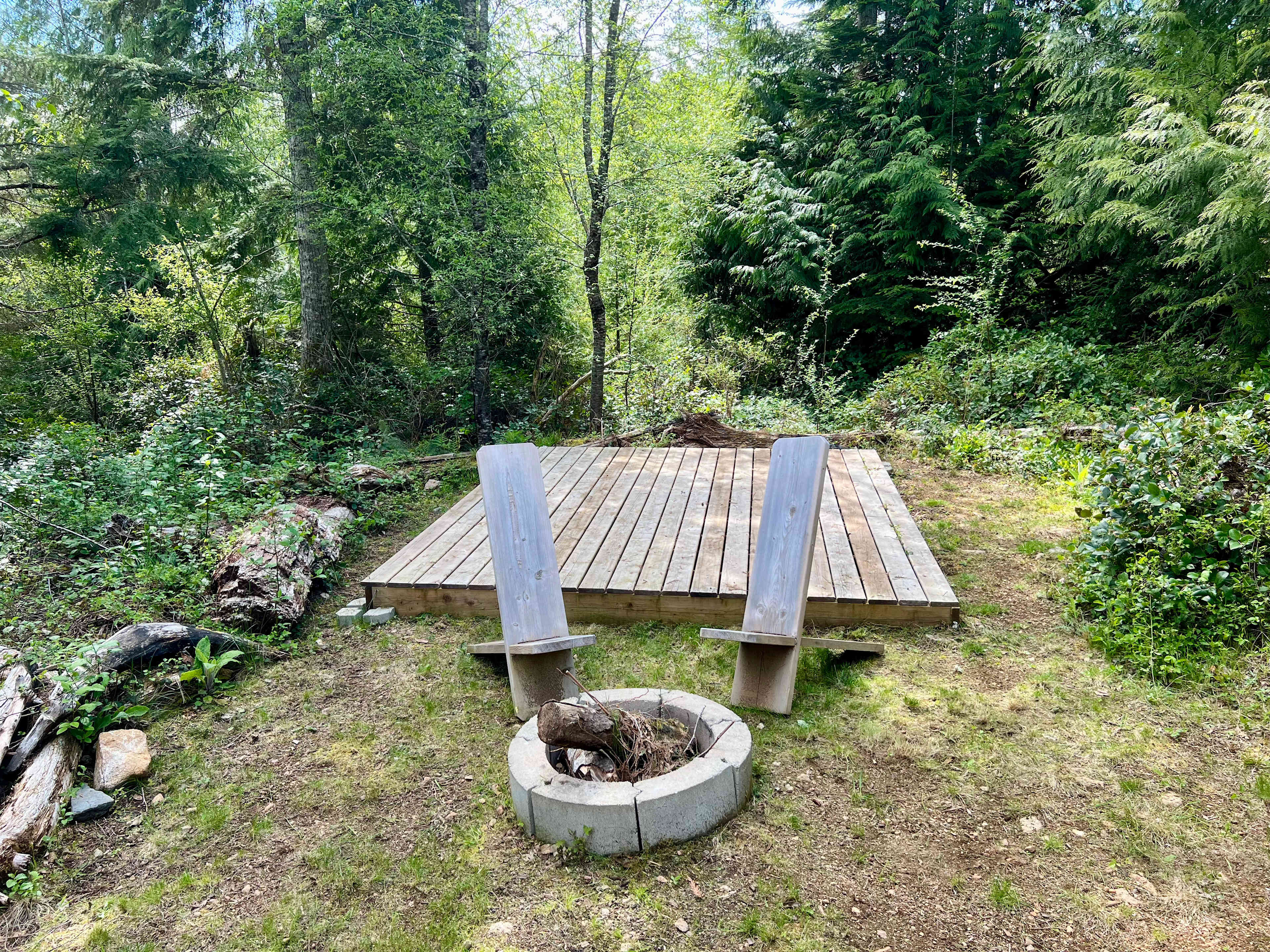 Picture of the site