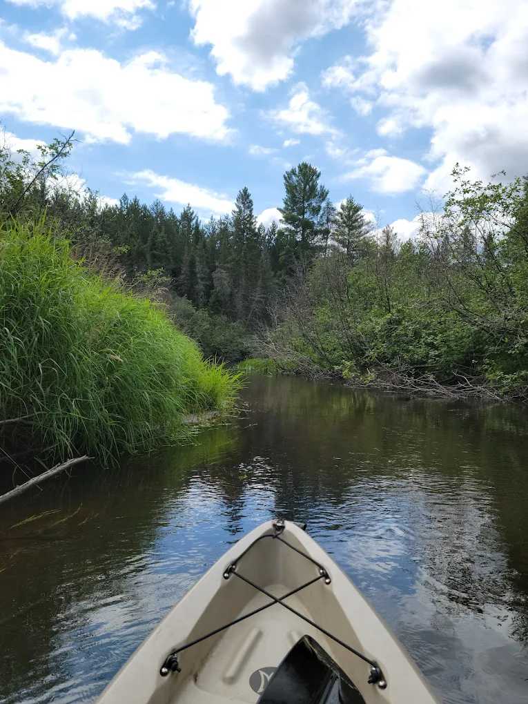Rohrs Wilderness Tours
