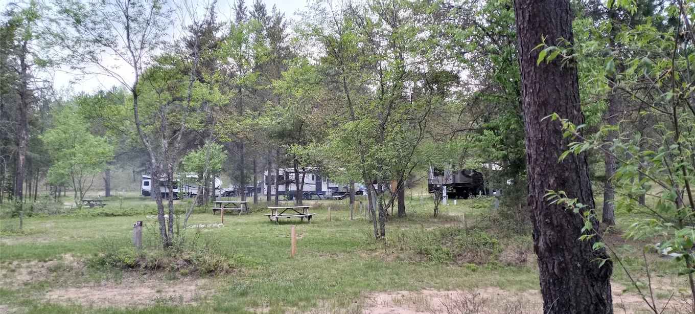 Rohrs Wilderness Tours