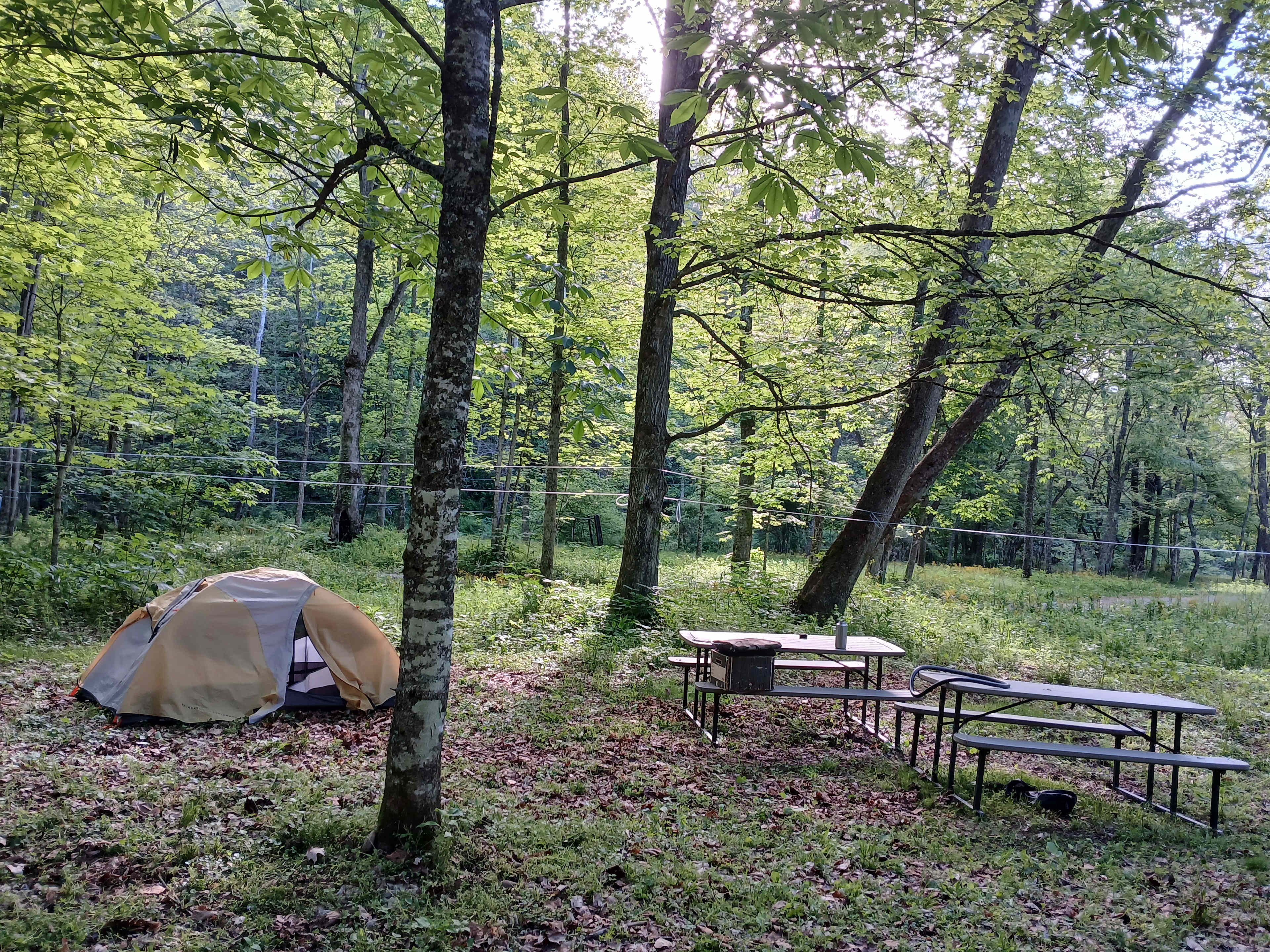 Picture of the site