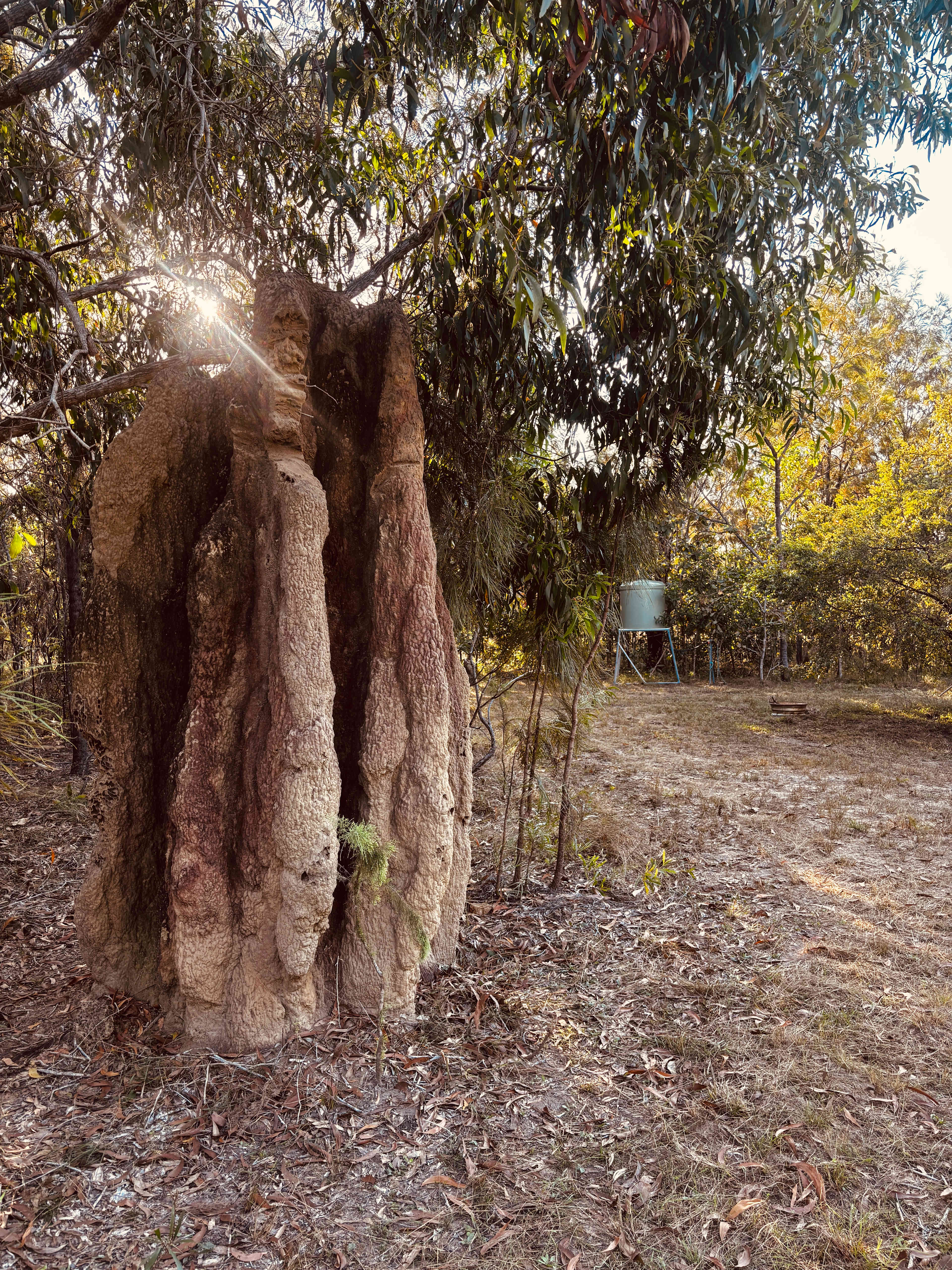 Picture of the site