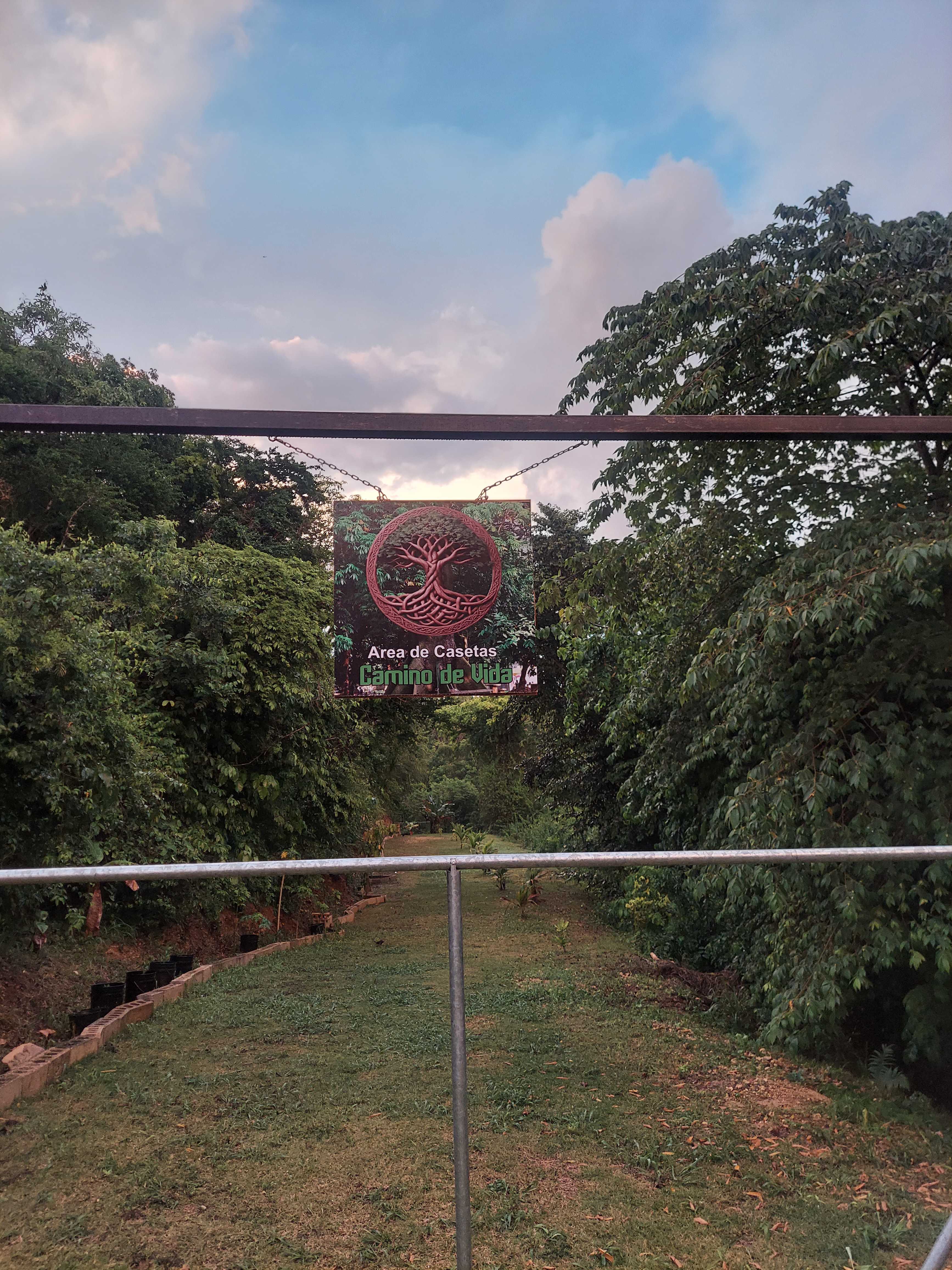 Picture of the site