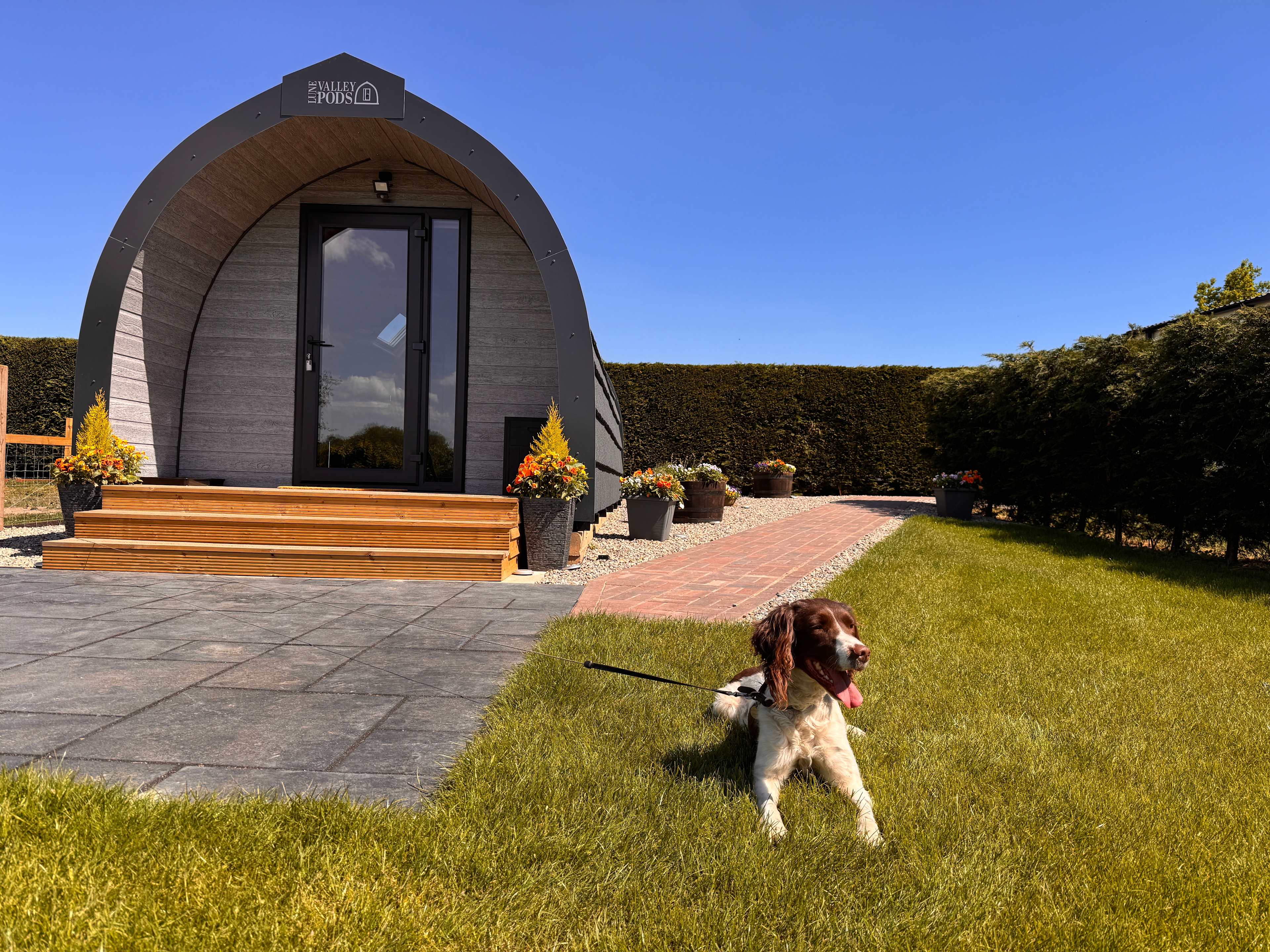 Honey Pod Glamping – York