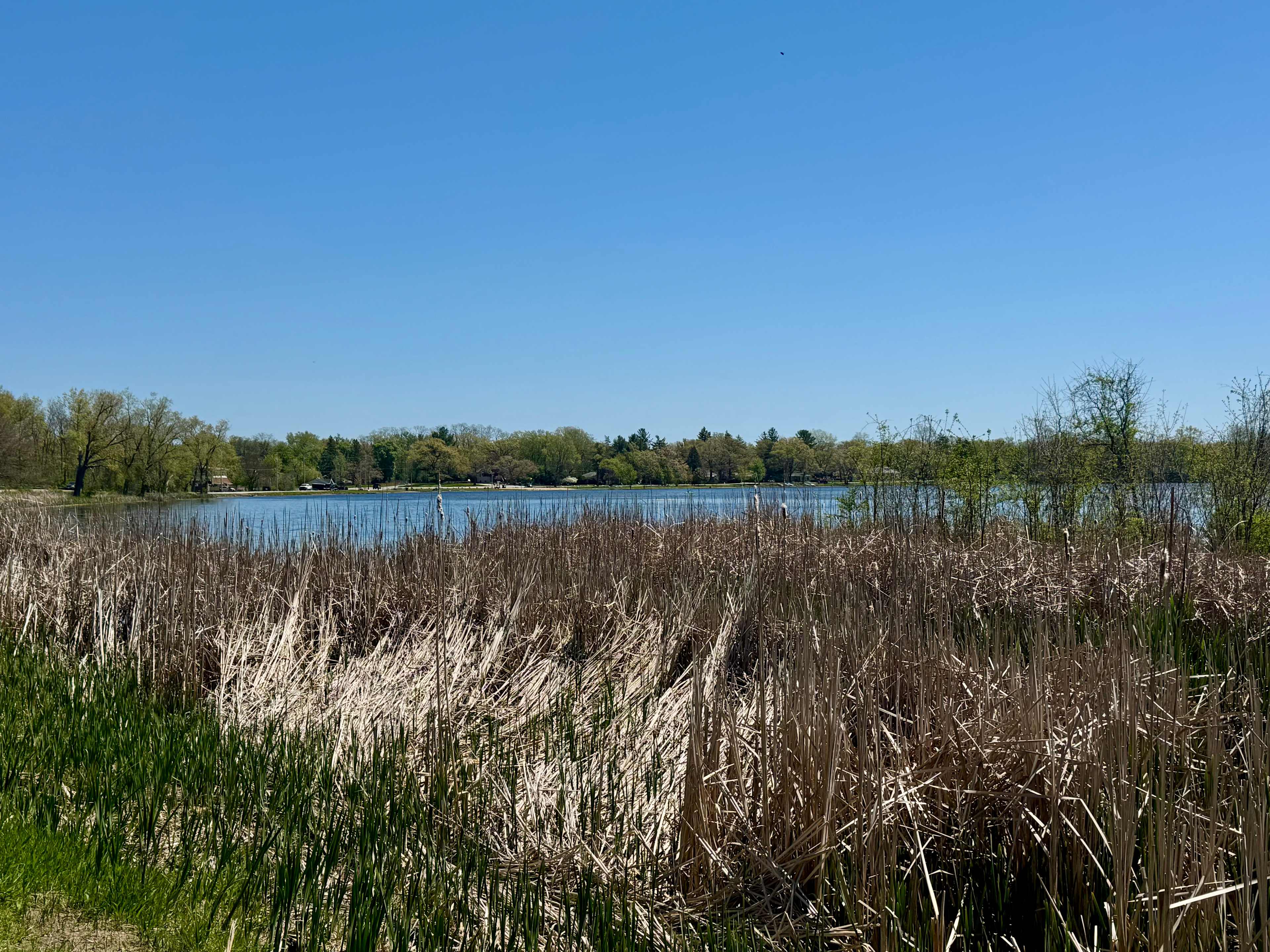 Lake across the road from site.