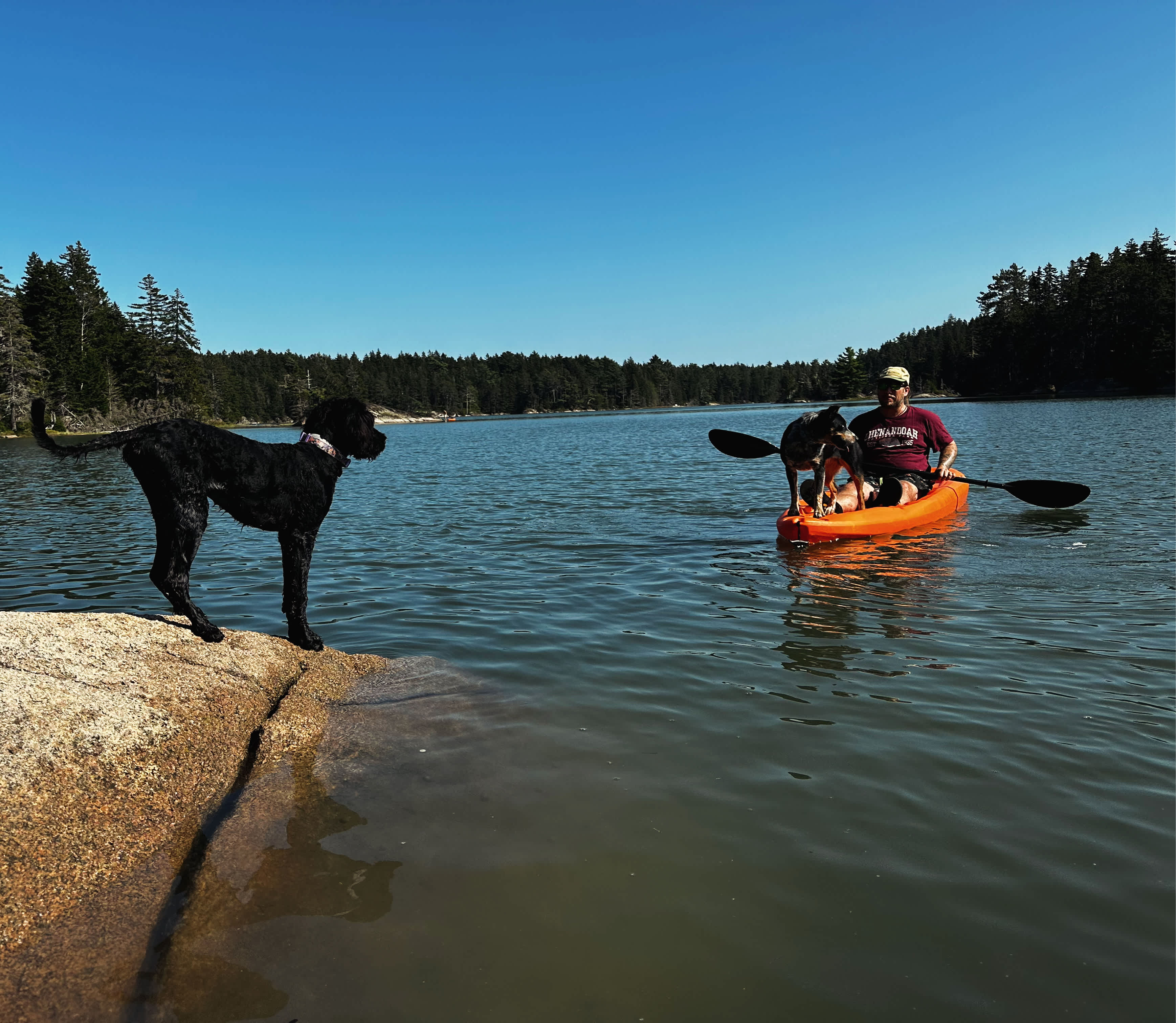 Woodhollow Cove
