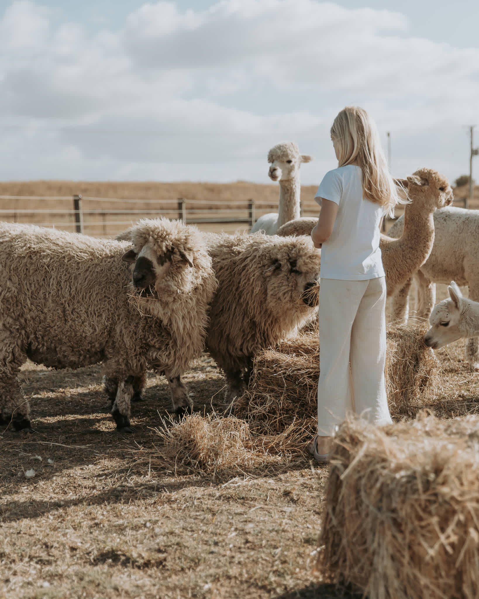 Barrenjoey Farm - Historic Richmond