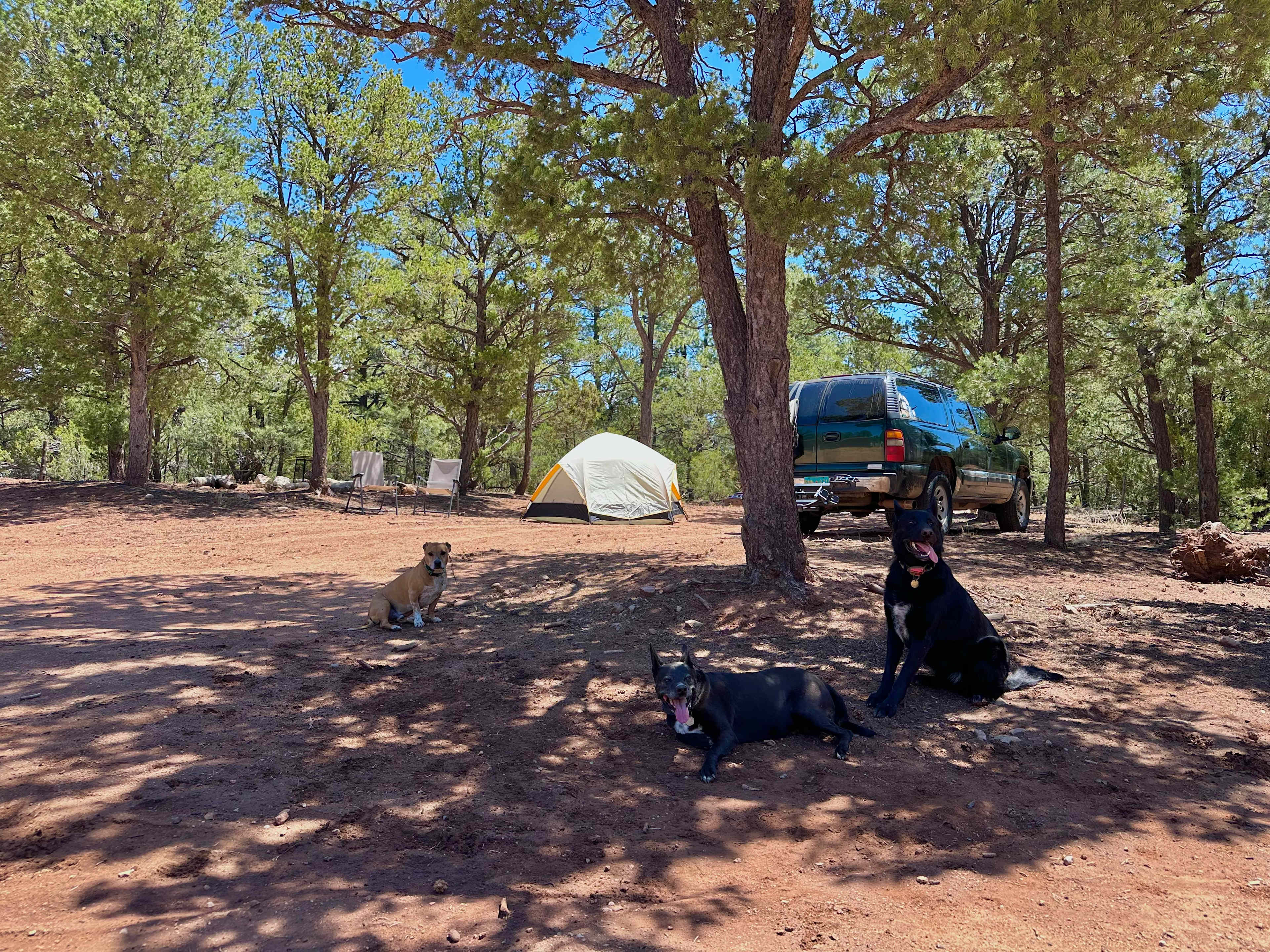 Edge Of The Woods Camping