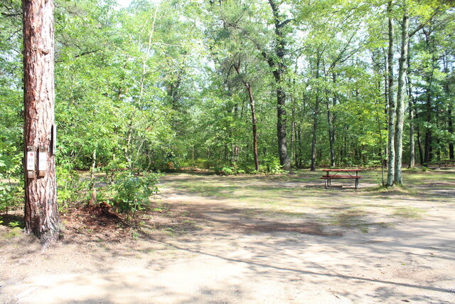 Twin Bears Wooded Campground