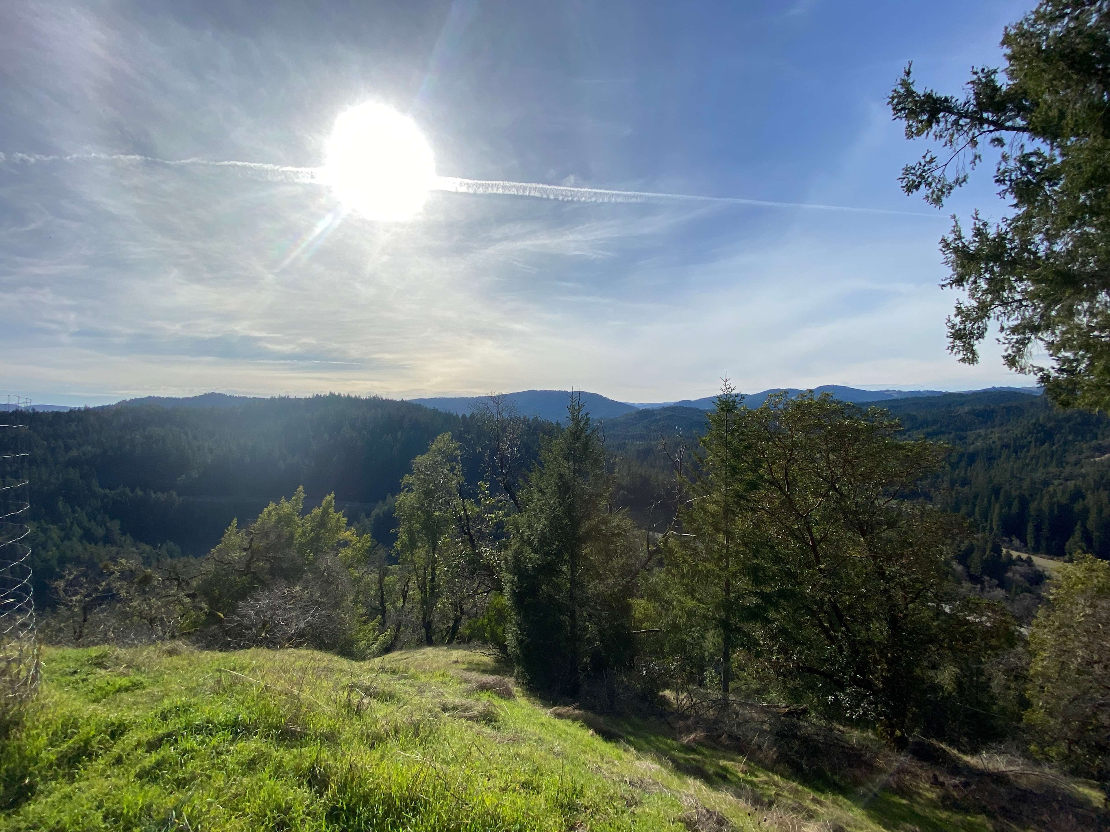 Ataraxia-Artistic Healing Retreat