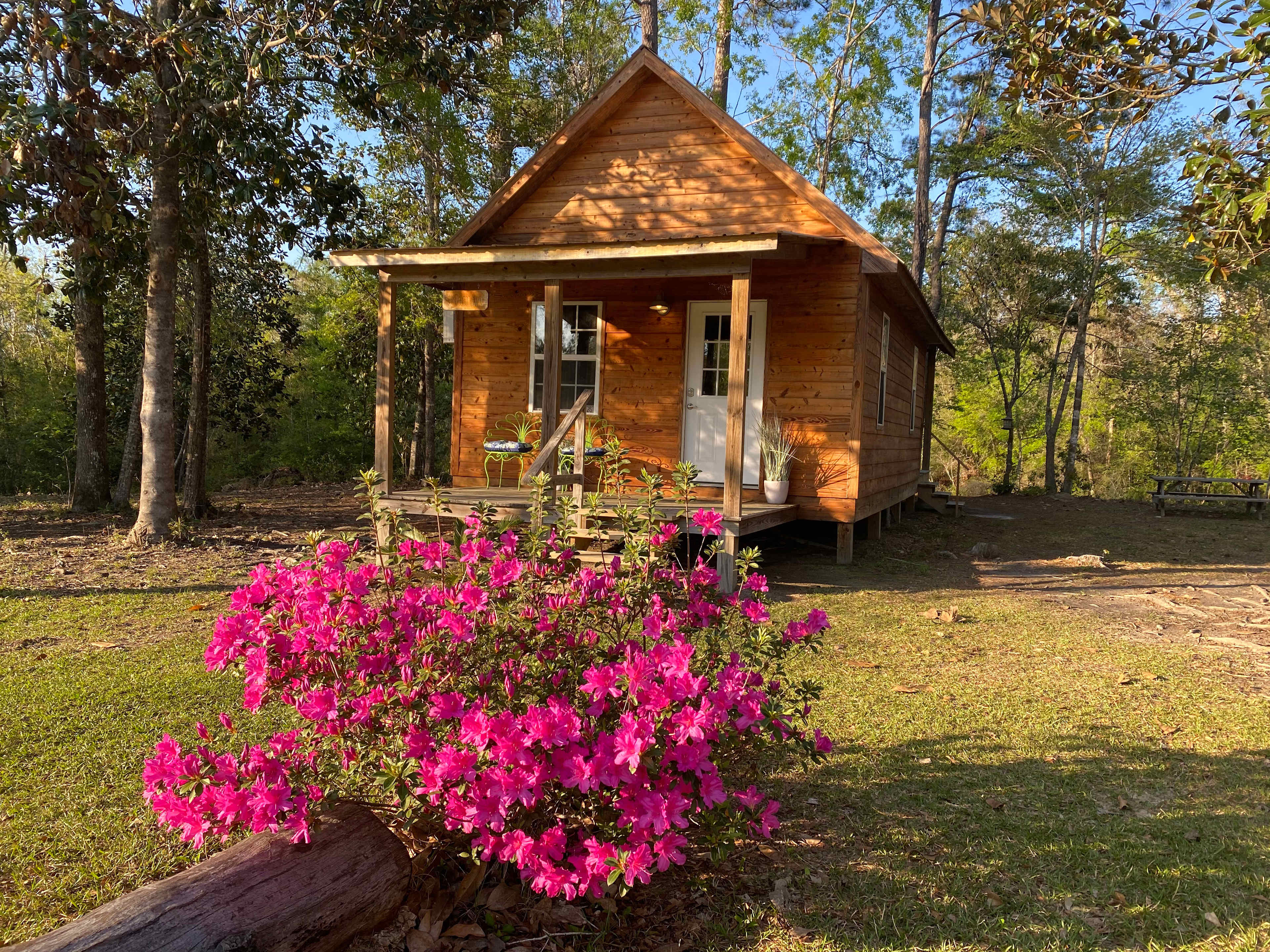 Elevate Red Creek Cabins & RV