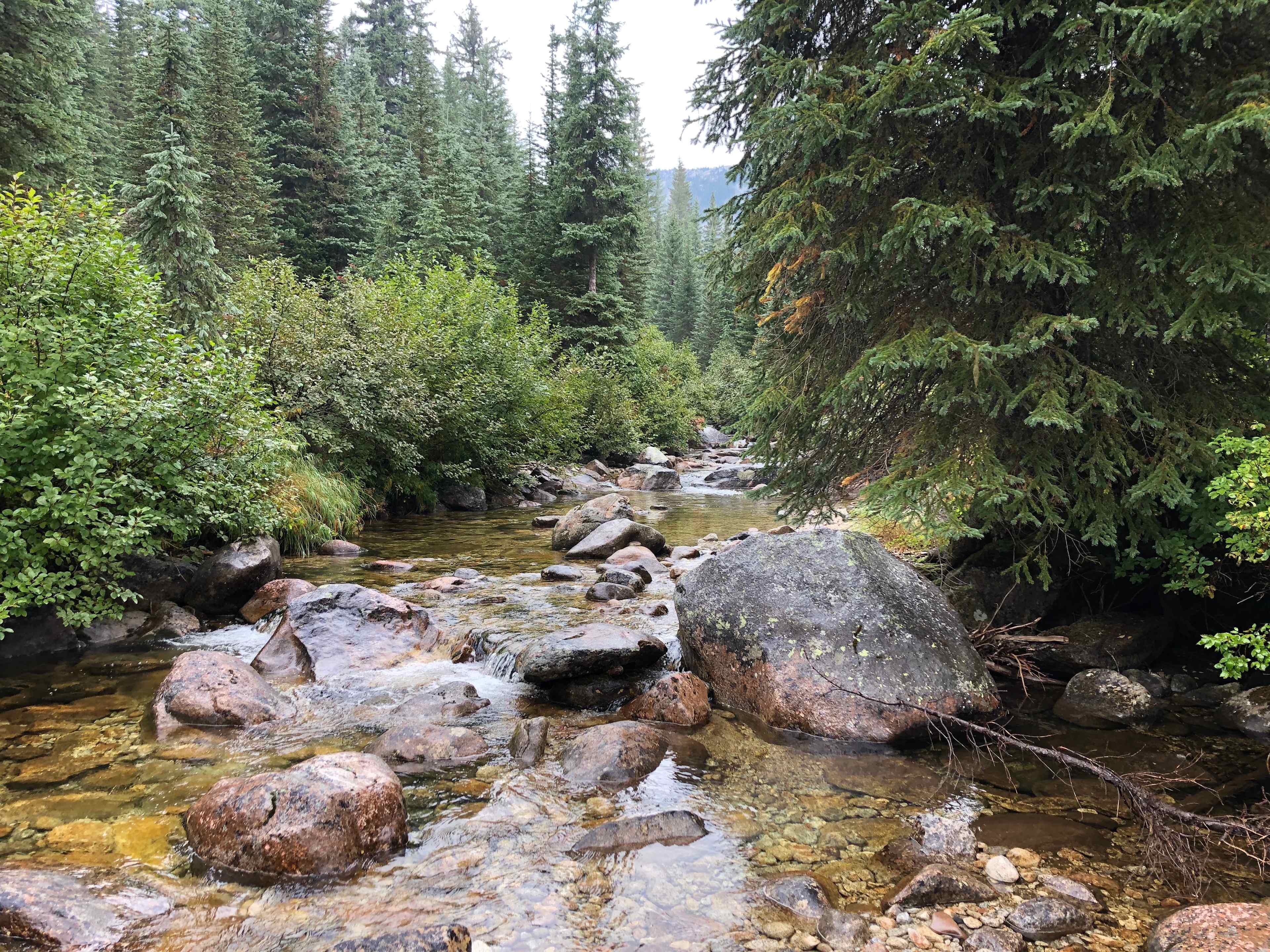 Pack River Camp
