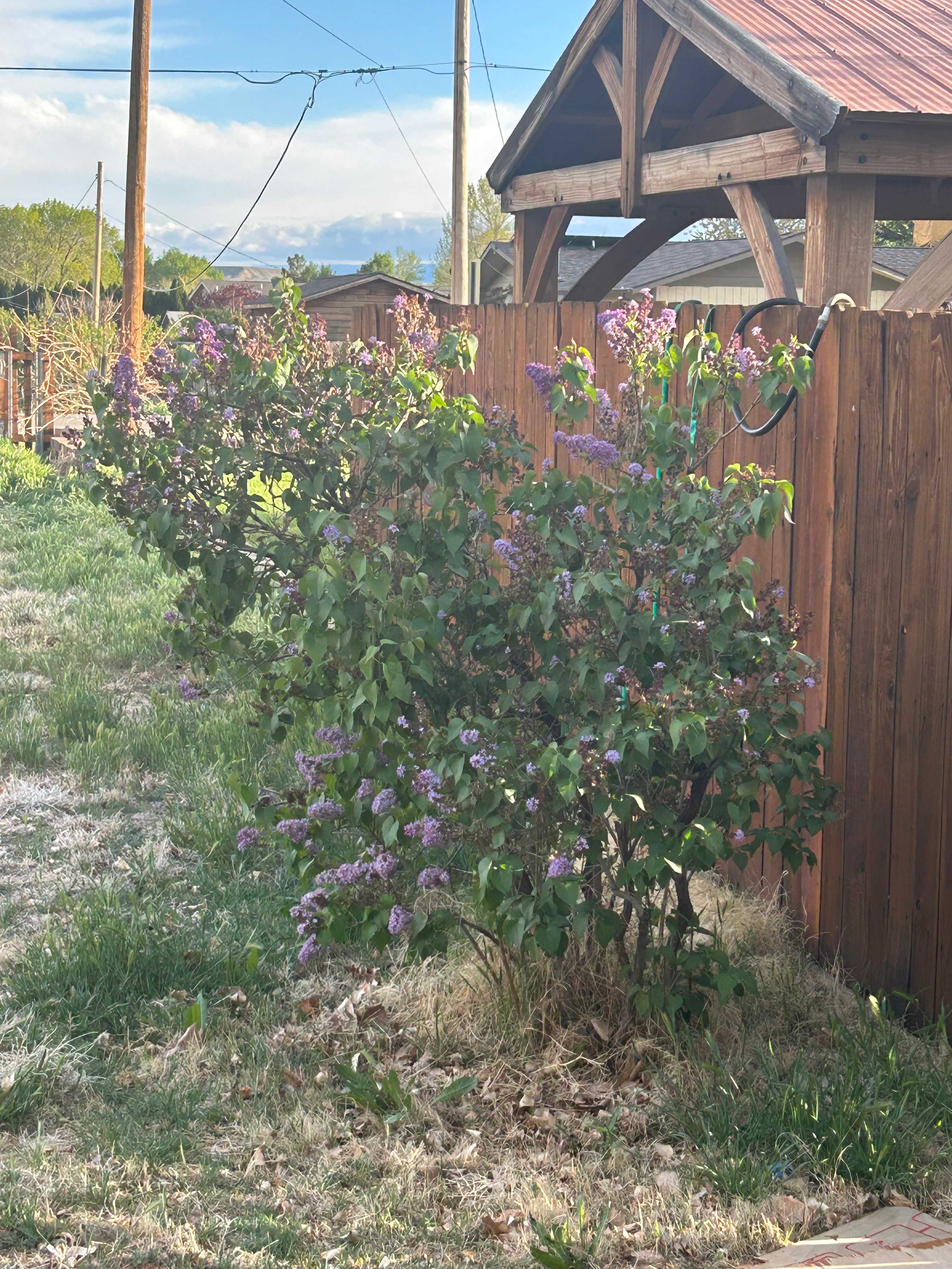 Palisade Field (Private)