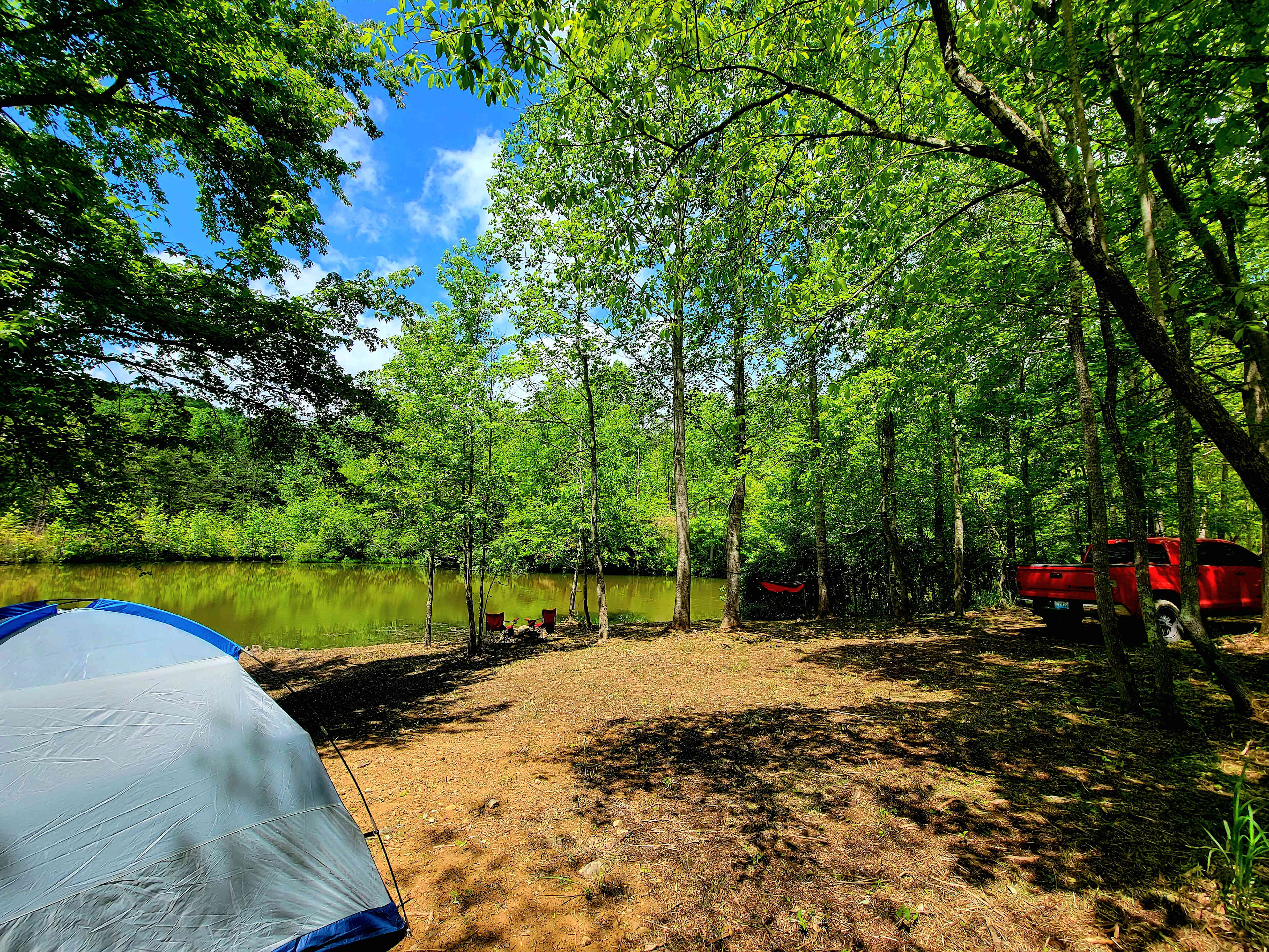 Picture of the site