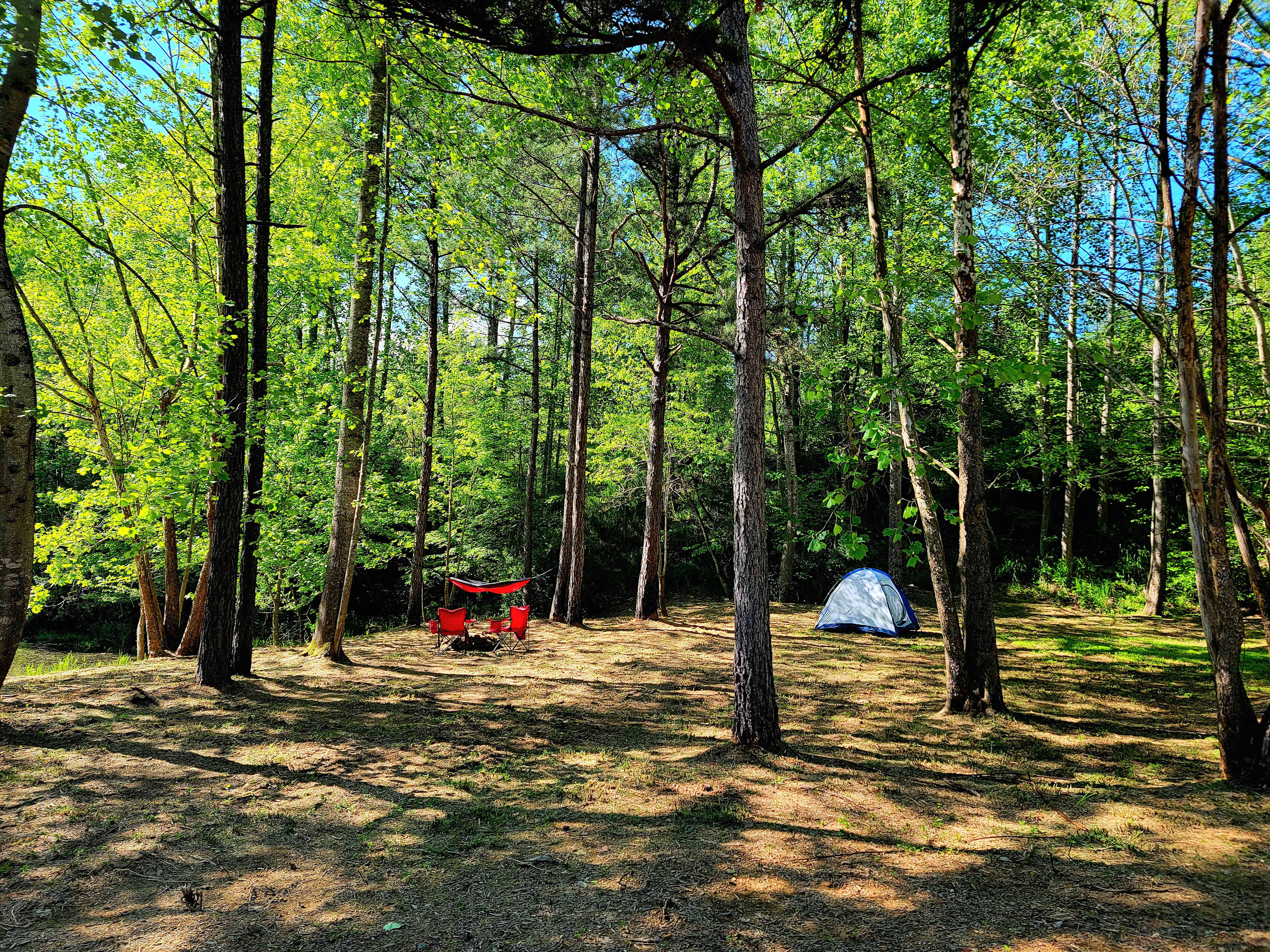 Picture of the site