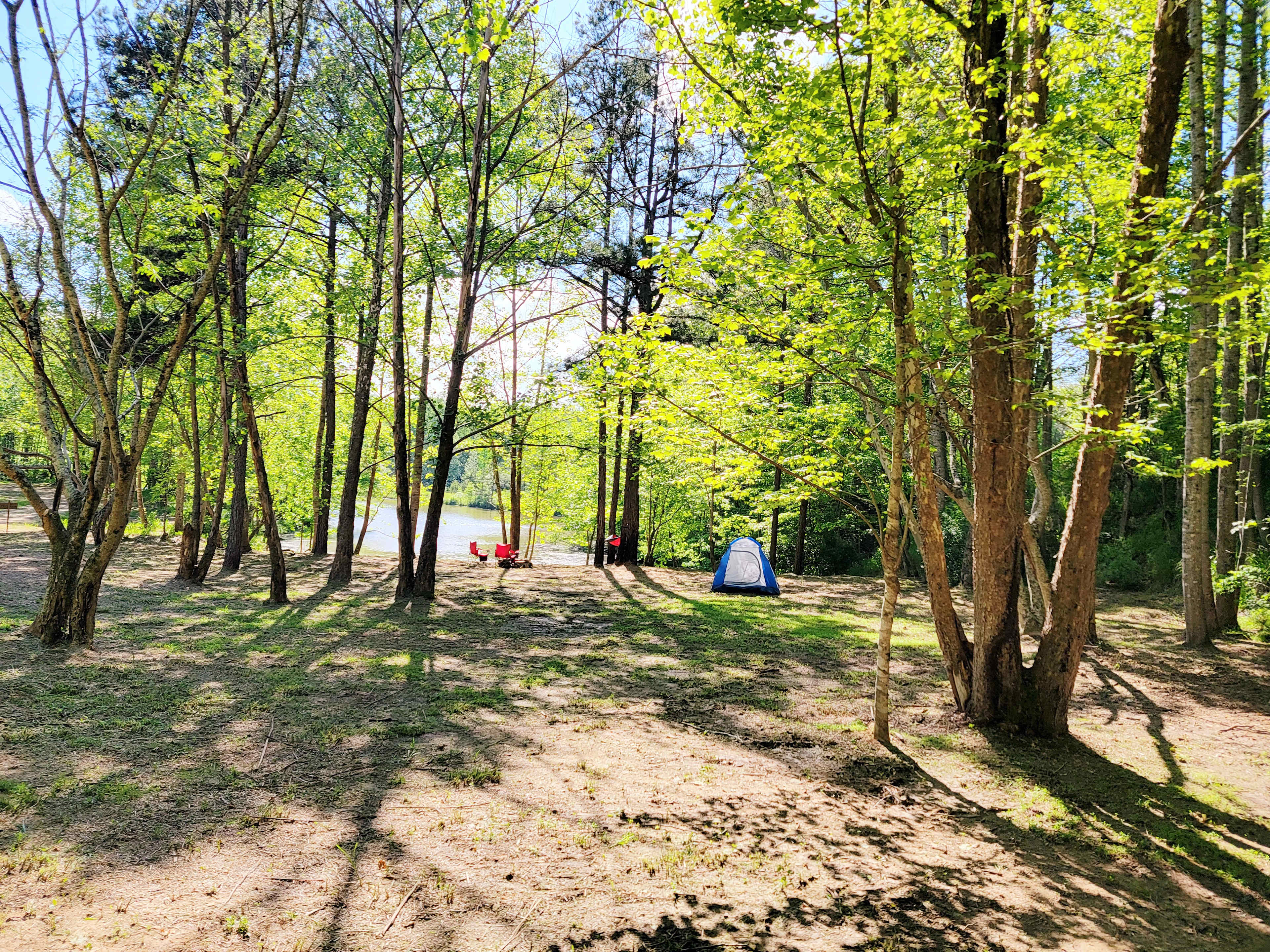 Picture of the site