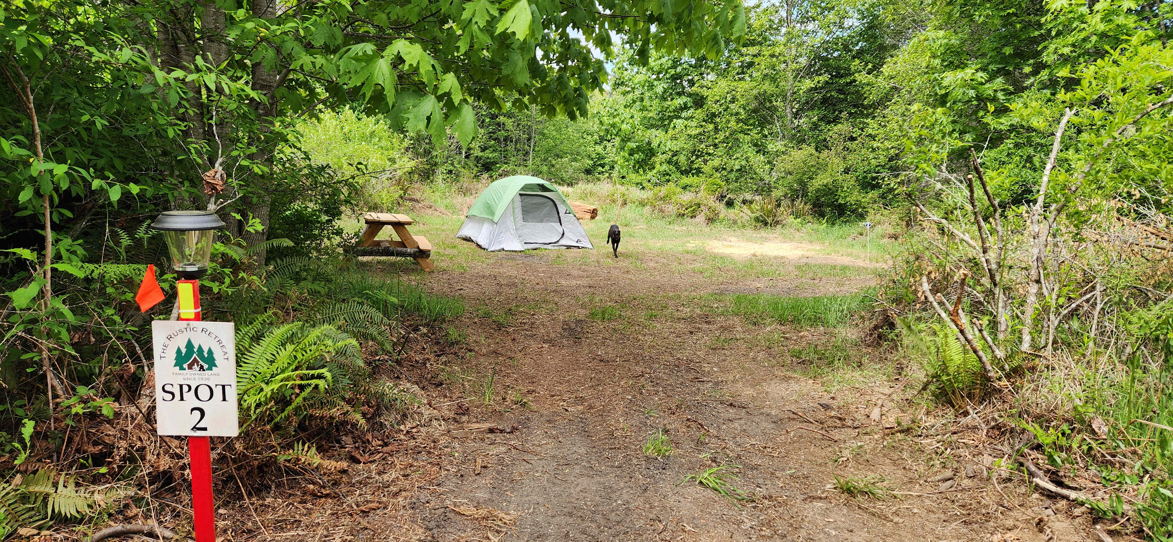 Picture of the site