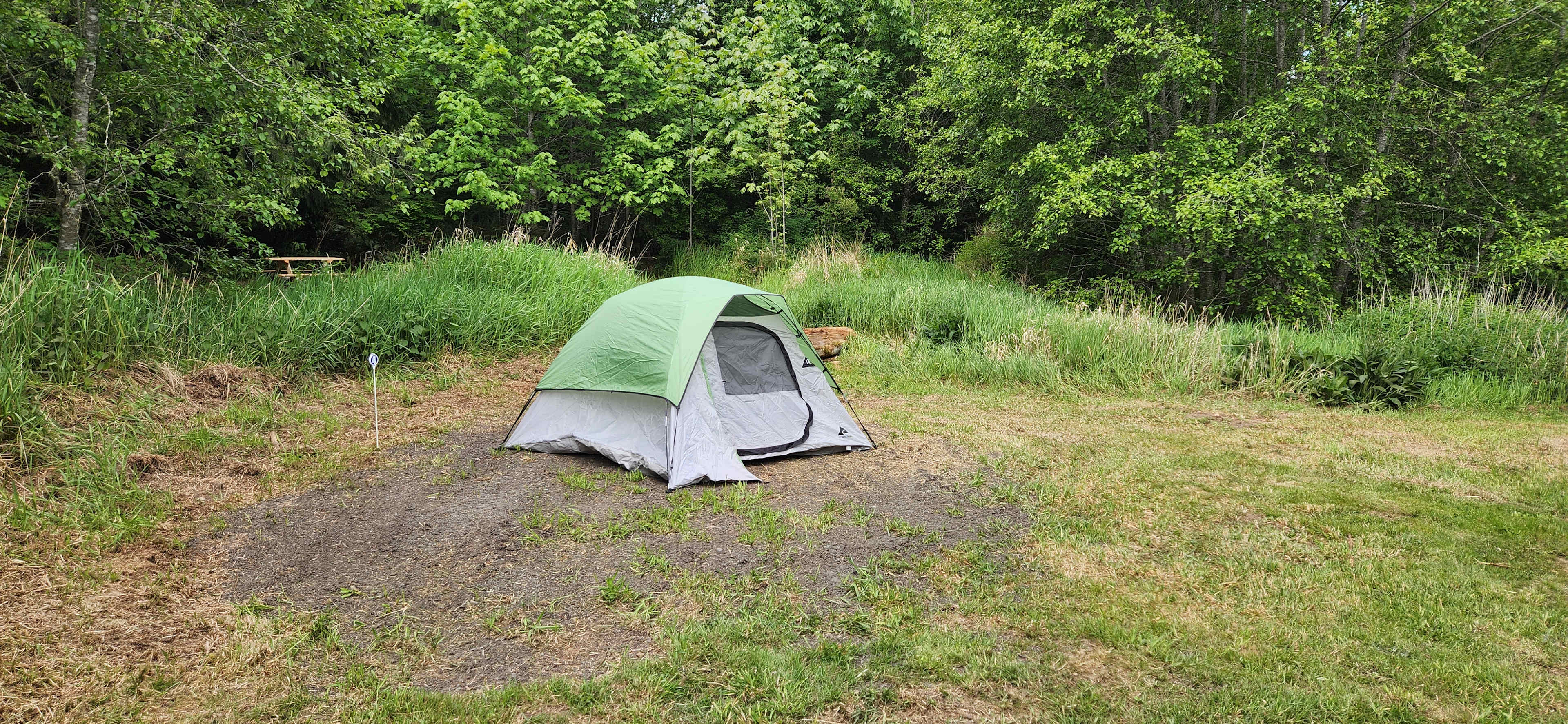 Picture of the site