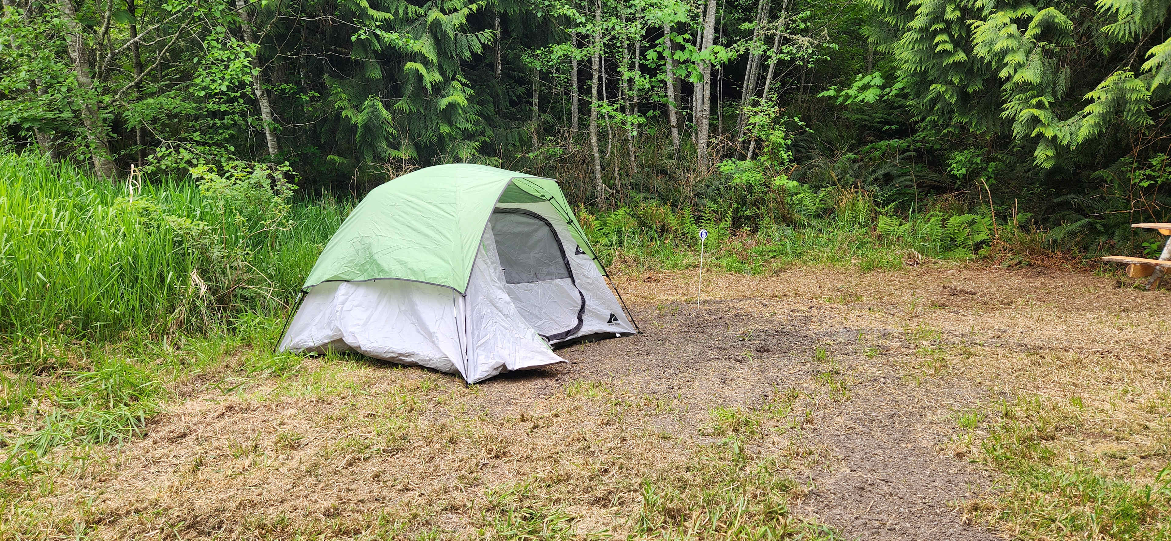 Picture of the site