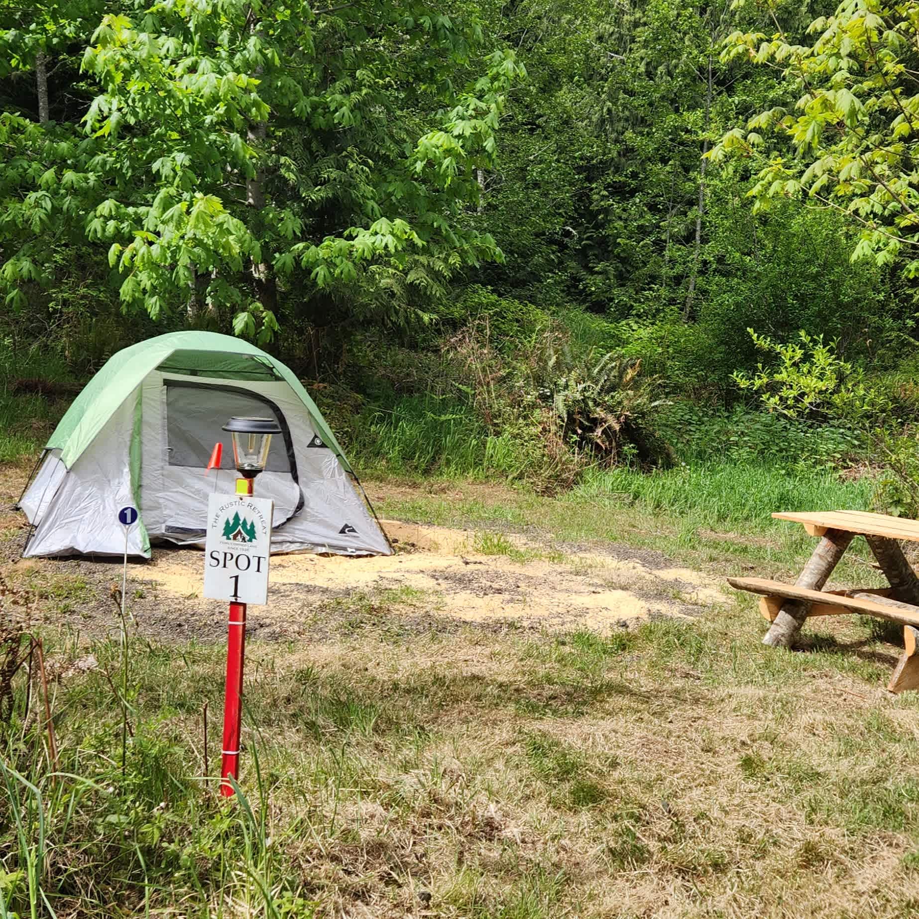 Picture of the site