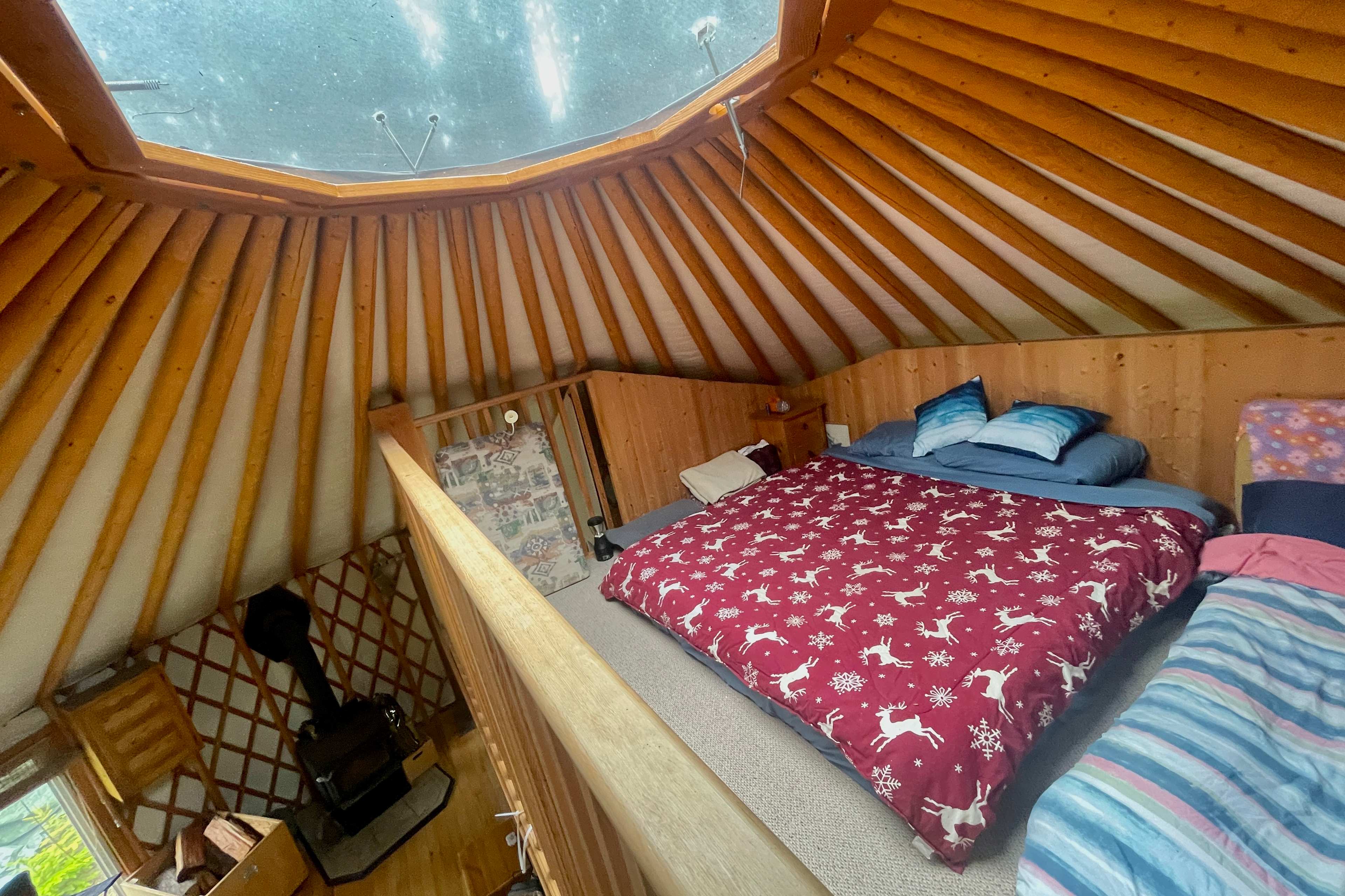 Forest Camping & Private Yurt