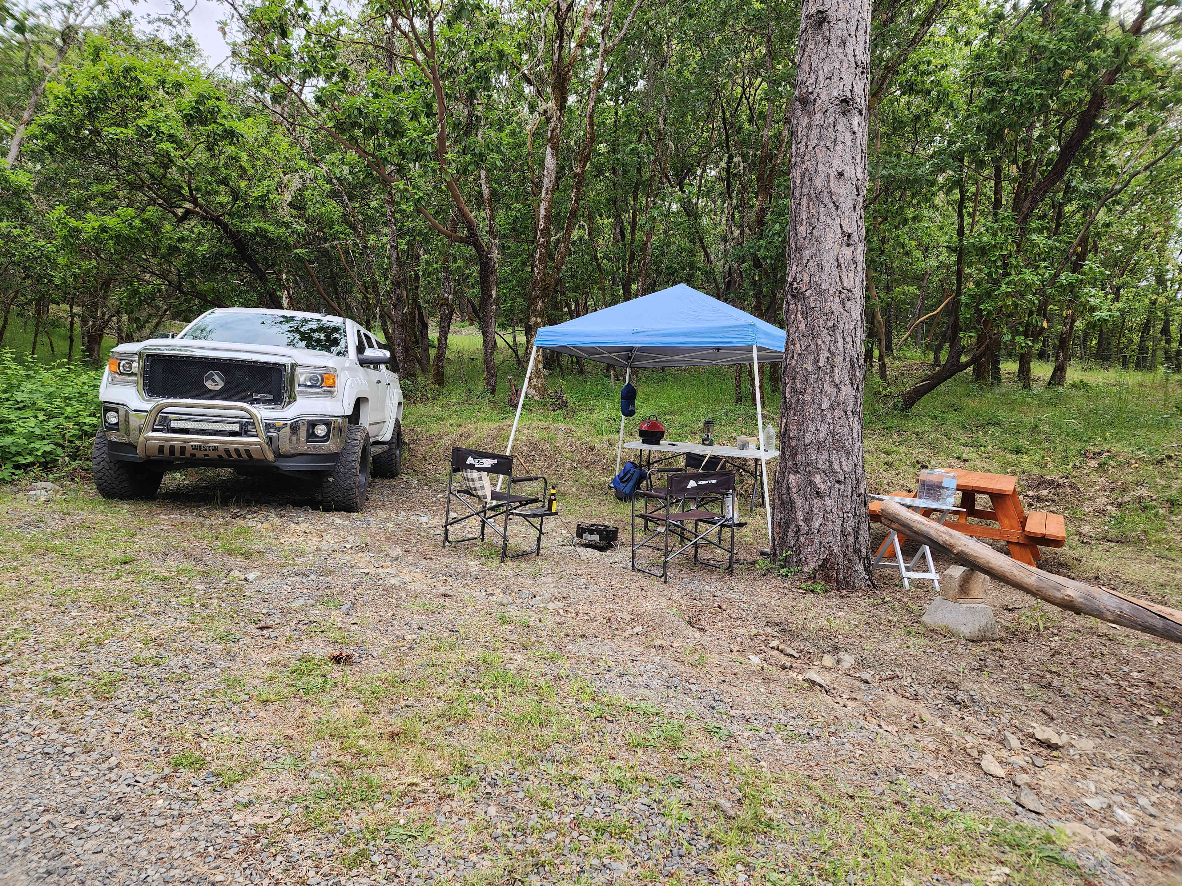 Homestead campsite in the trees