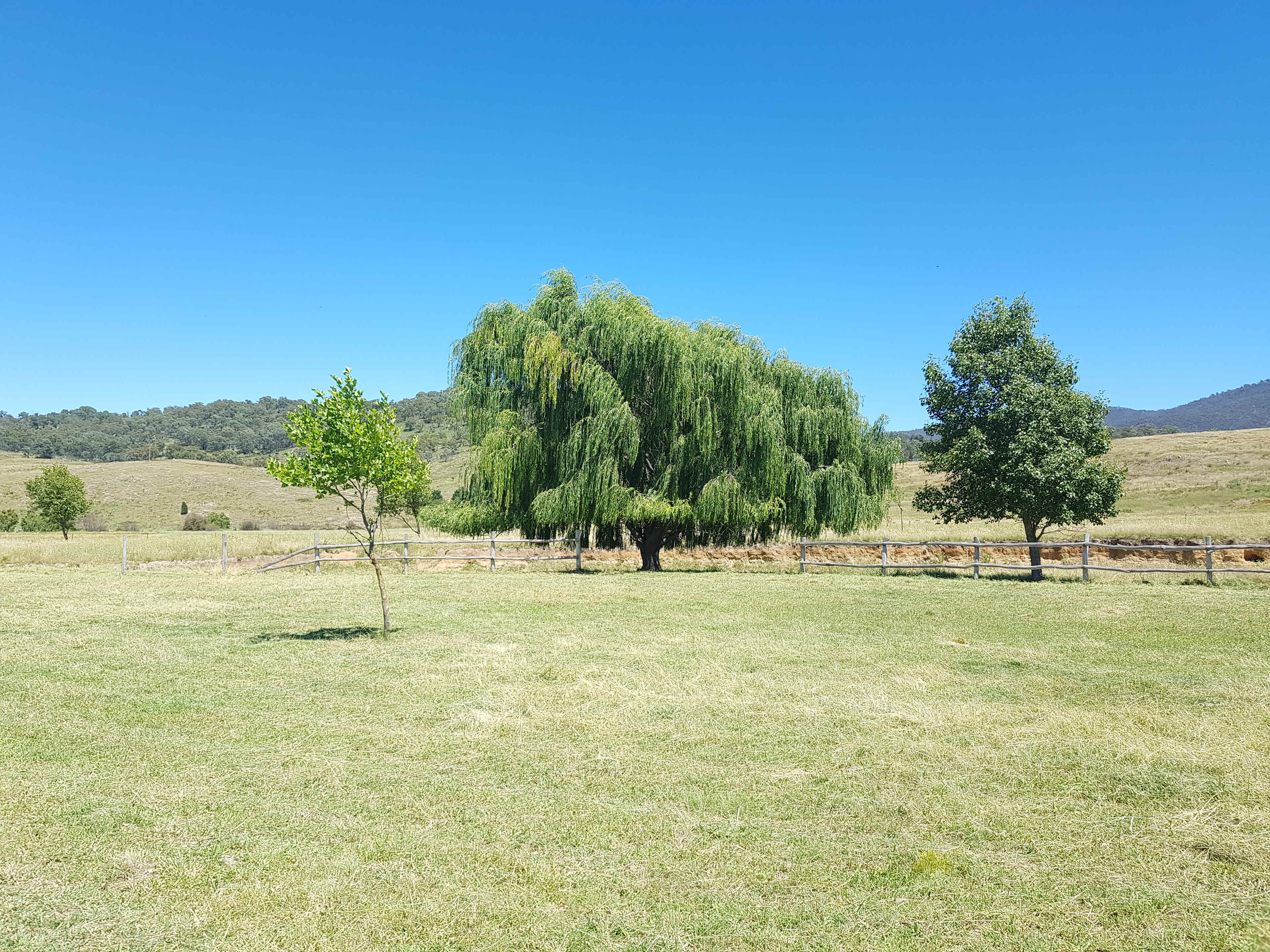 Swan Farm