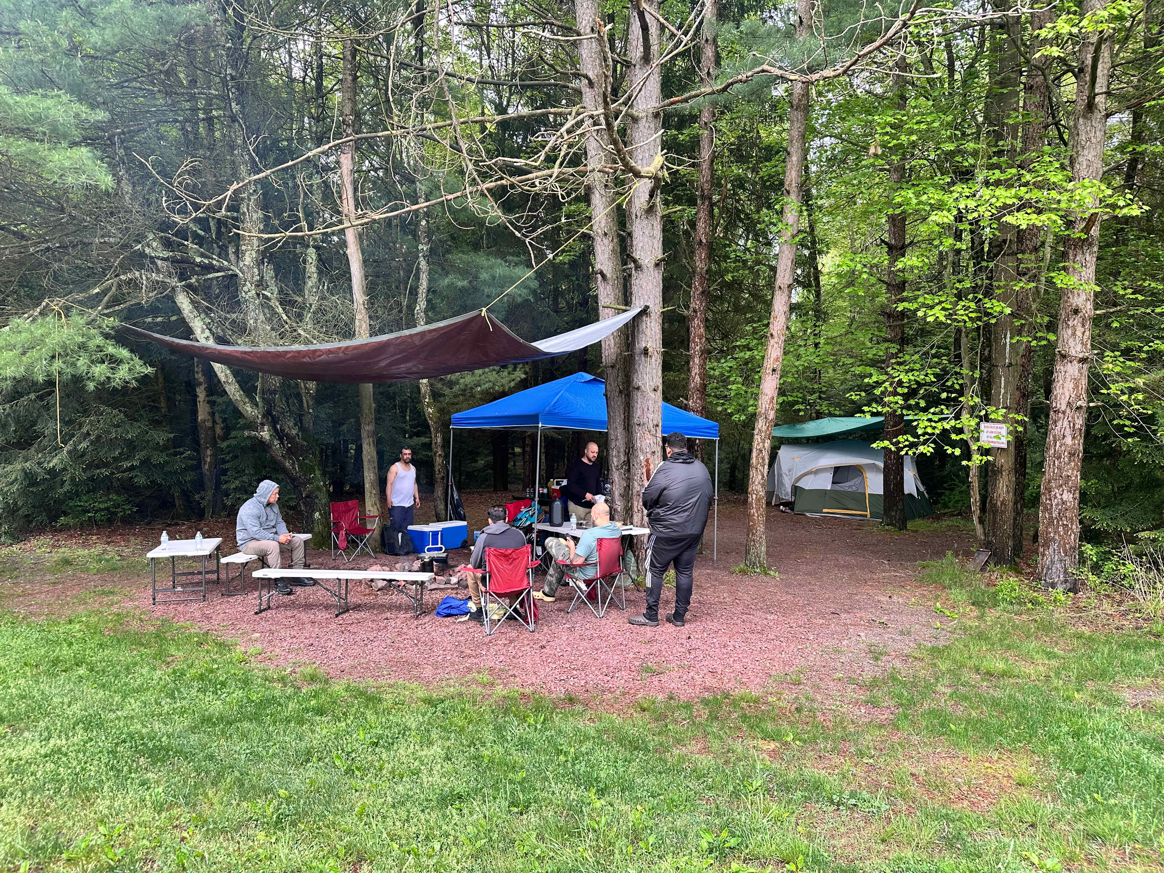 Picture of the site